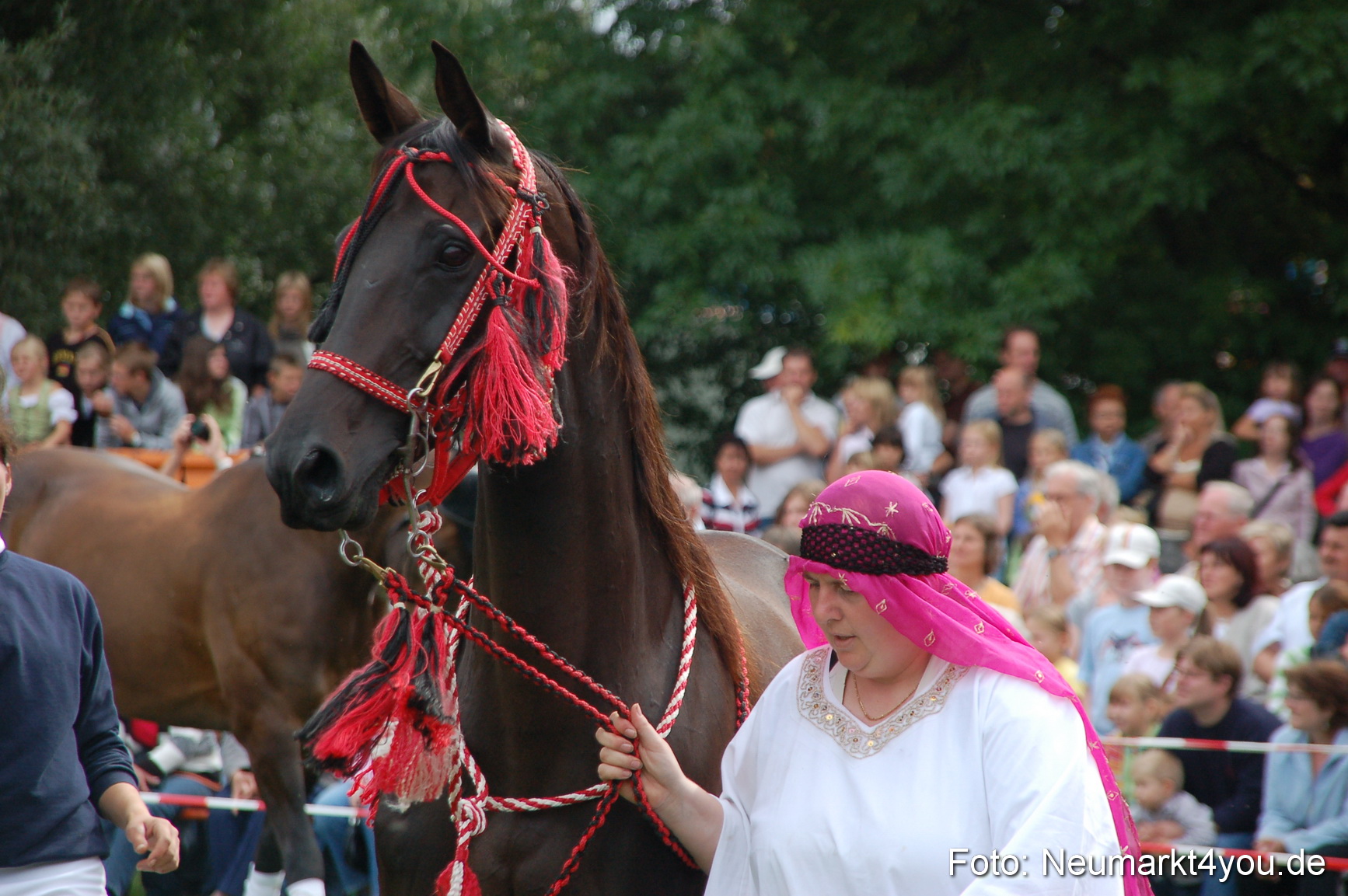 0448 Pferde Fohlenschau 200807