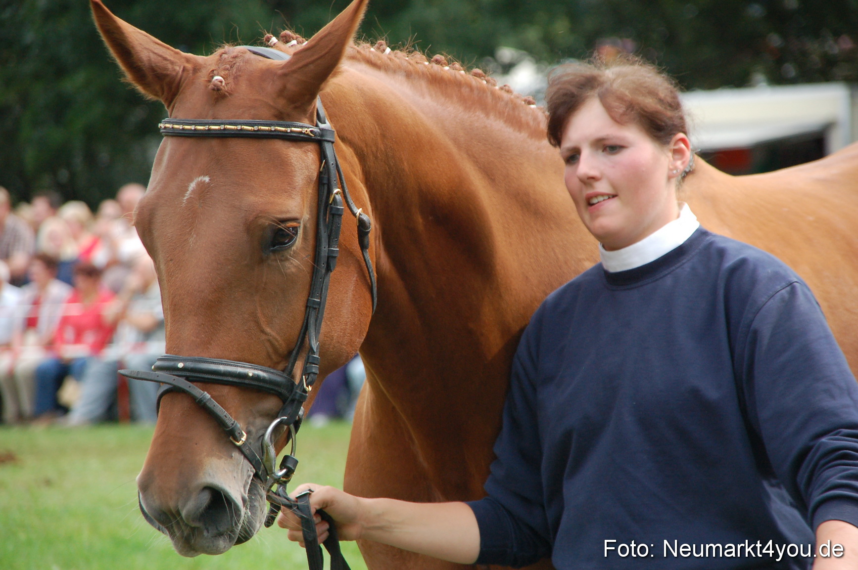 0449 Pferde Fohlenschau 200807