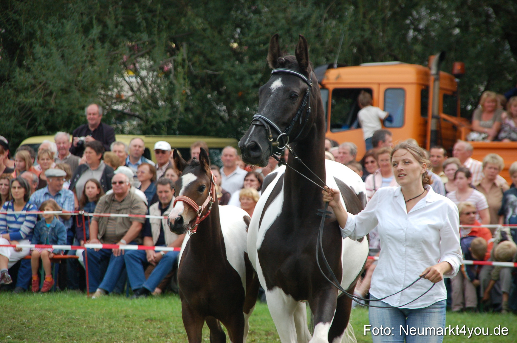 0450 Pferde Fohlenschau 200807