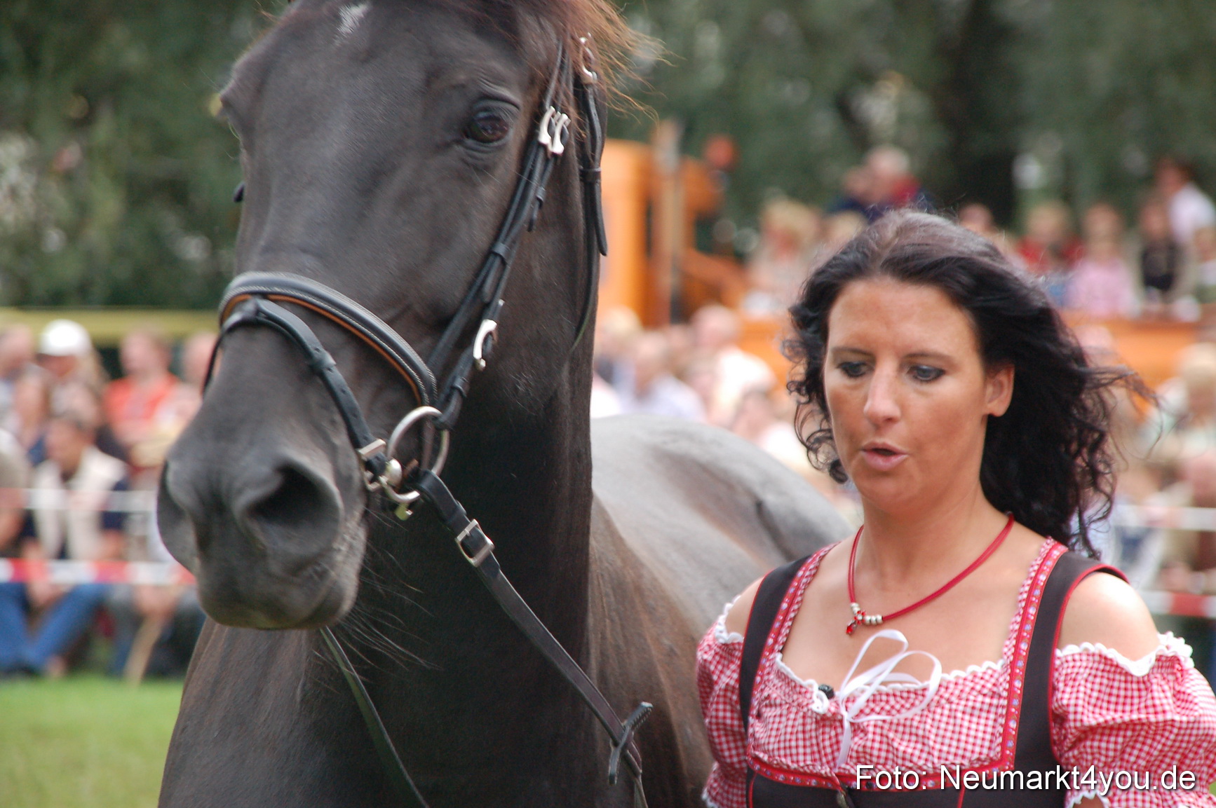 0452 Pferde Fohlenschau 200807