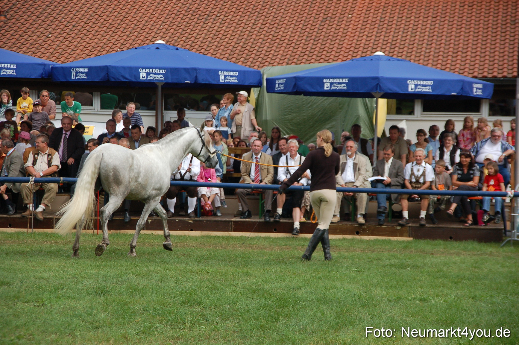 0453 Pferde Fohlenschau 200807