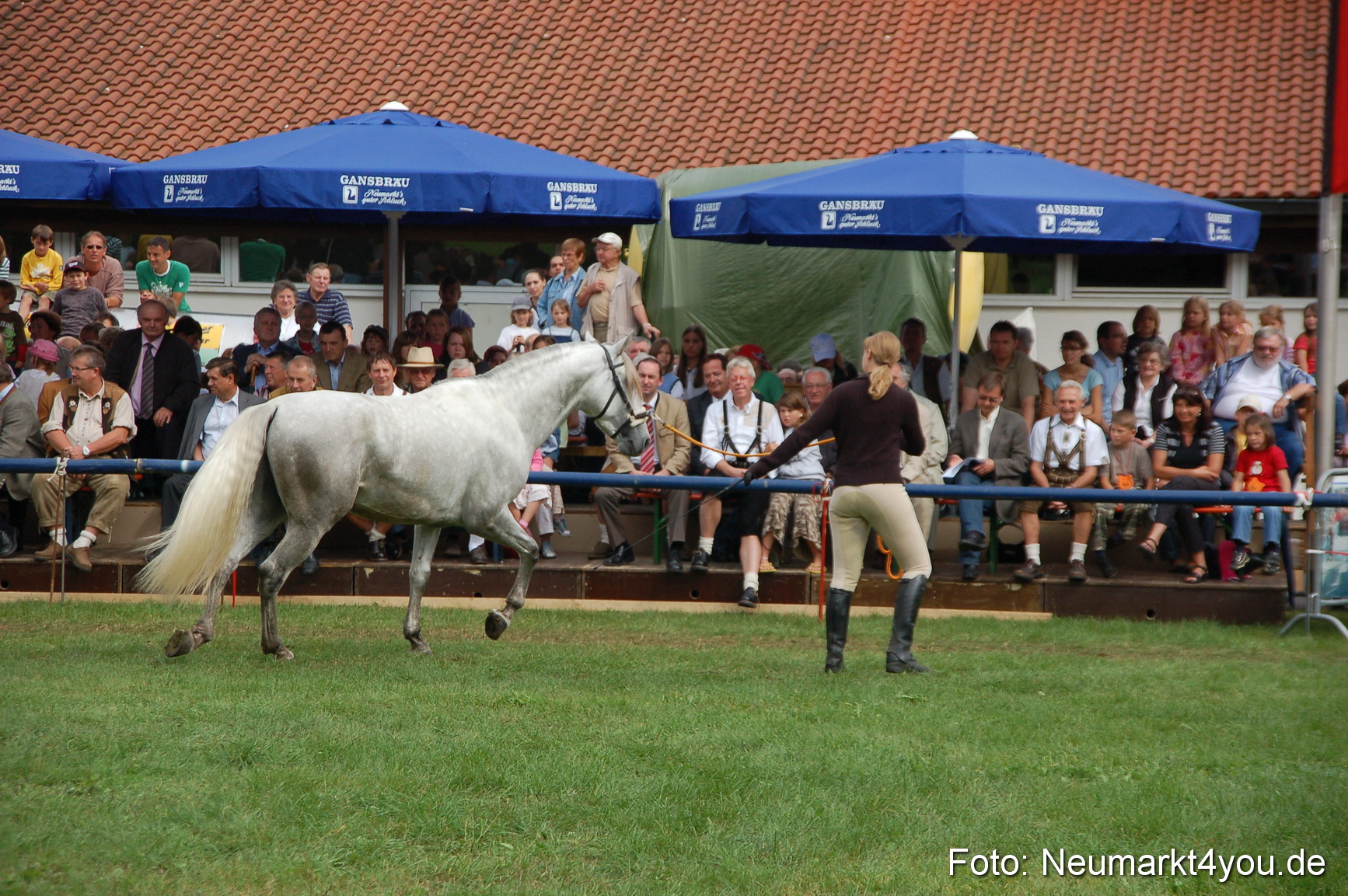 0454 Pferde Fohlenschau 200807