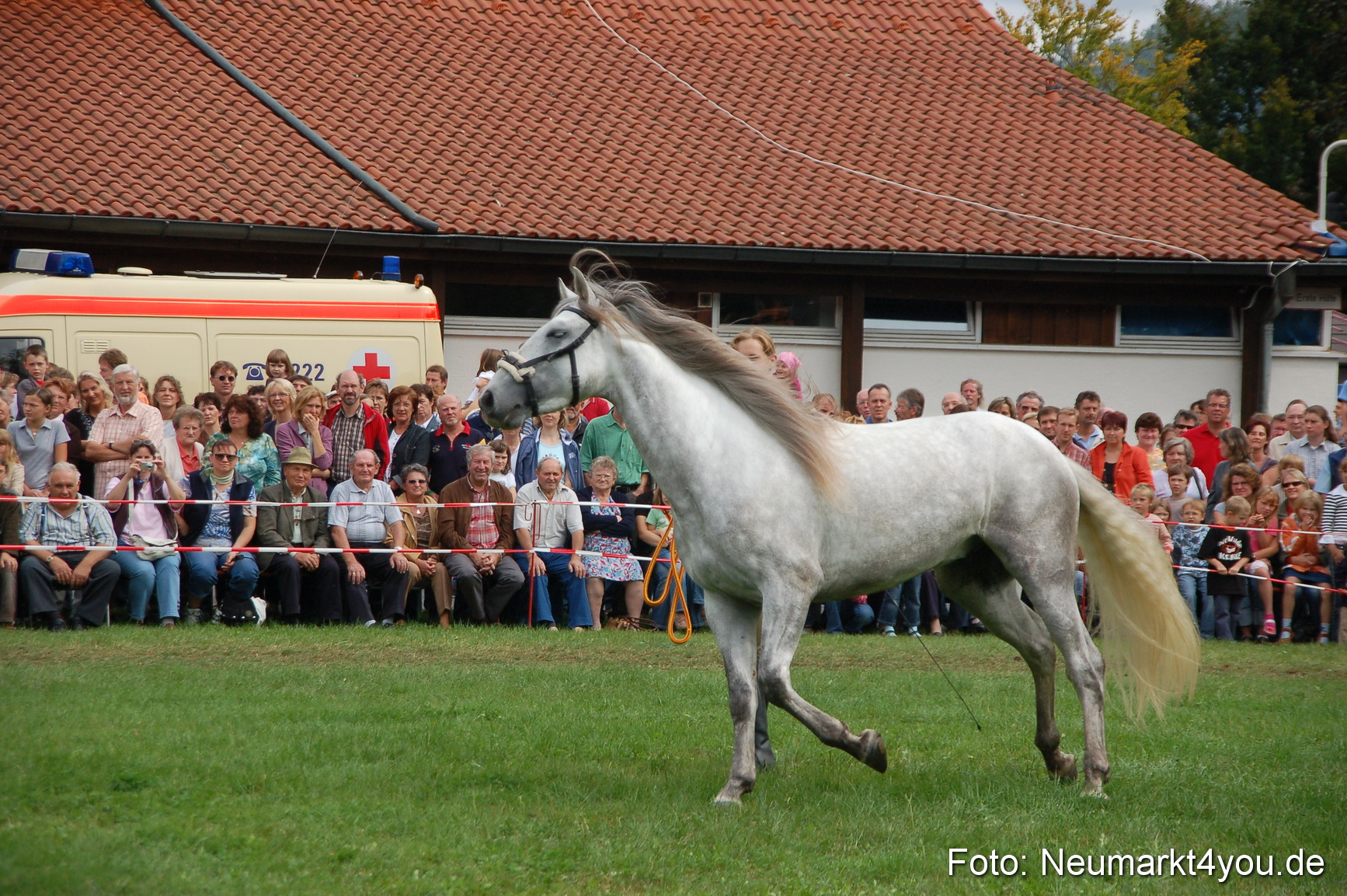 0455 Pferde Fohlenschau 200807