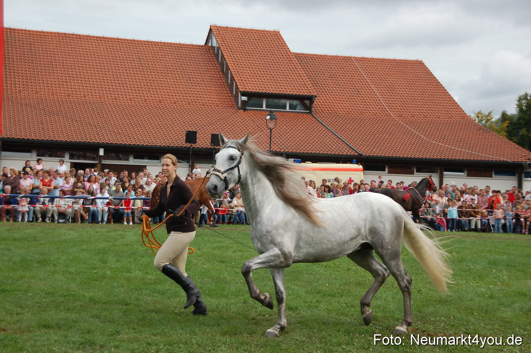 0456 Pferde Fohlenschau 200807