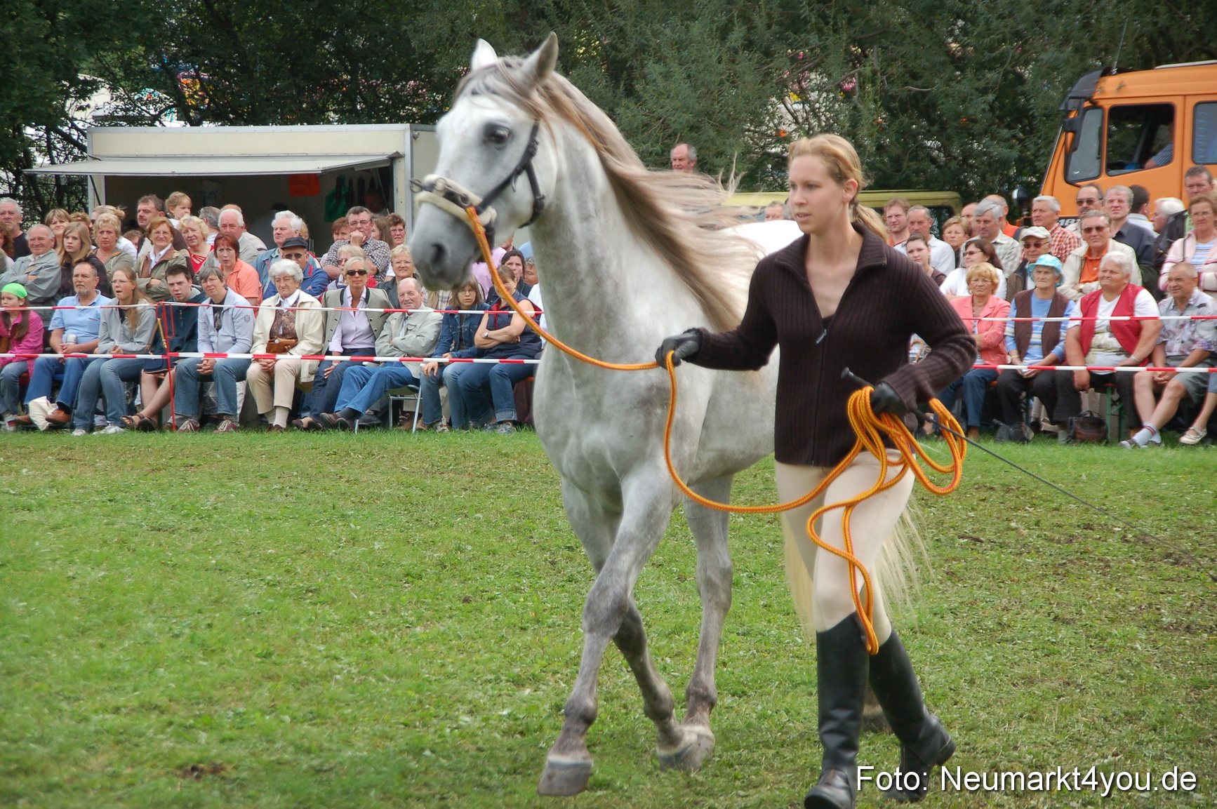 0459 Pferde Fohlenschau 200807