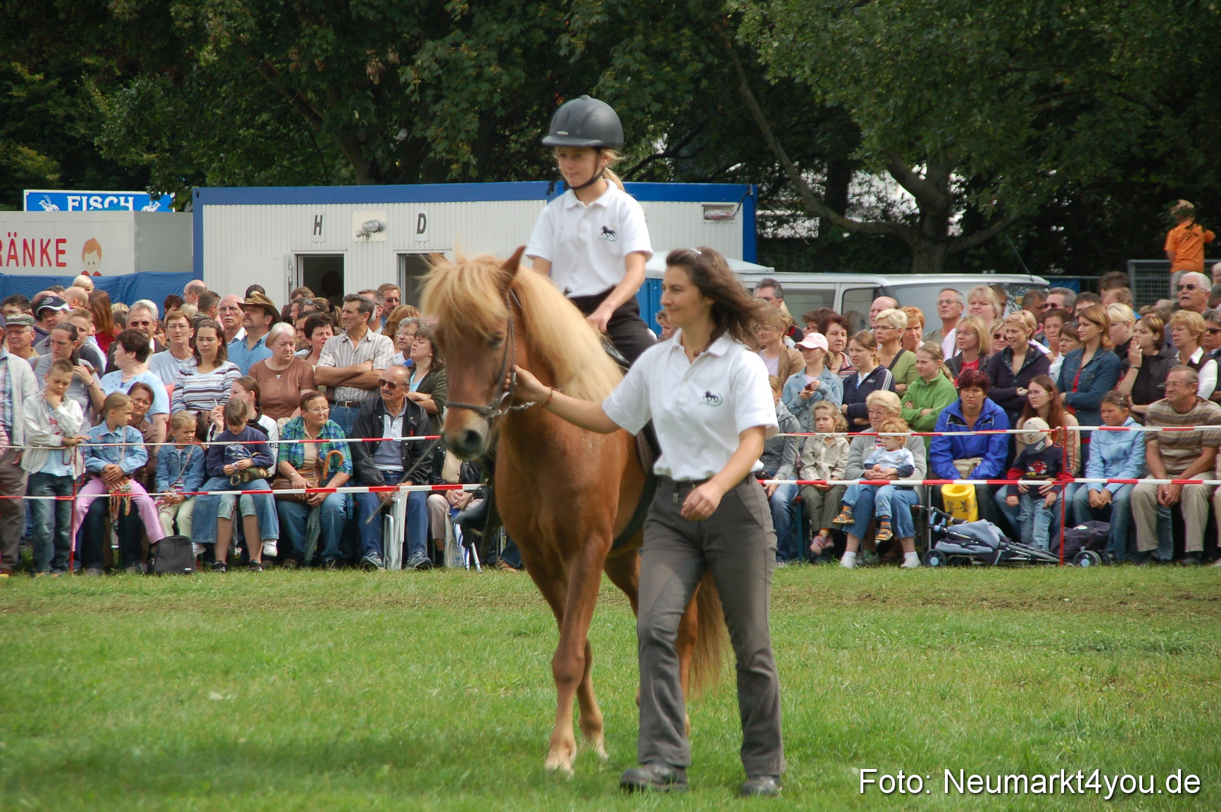 0461 Pferde Fohlenschau 200807