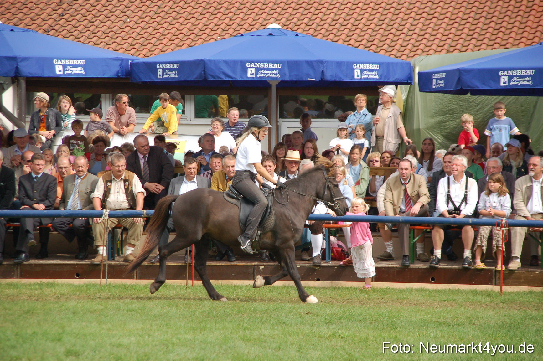 0462 Pferde Fohlenschau 200807
