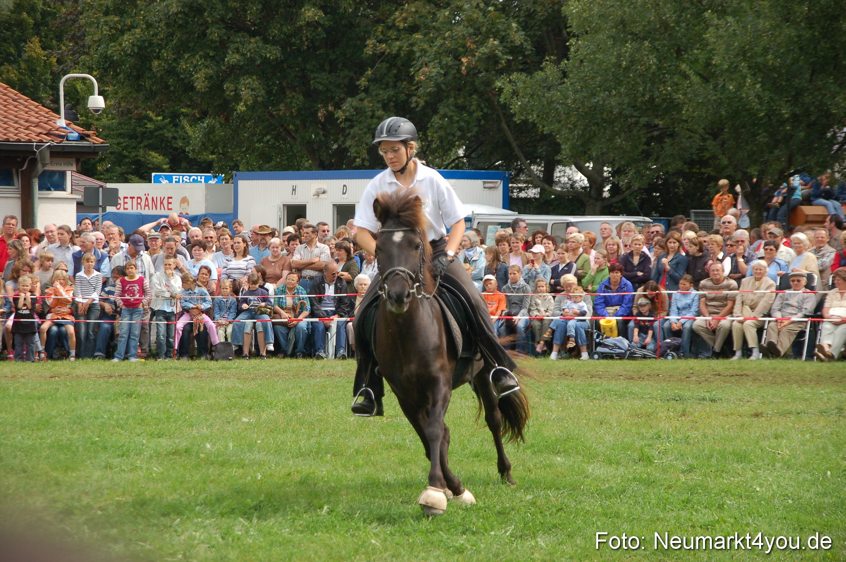 0463 Pferde Fohlenschau 200807