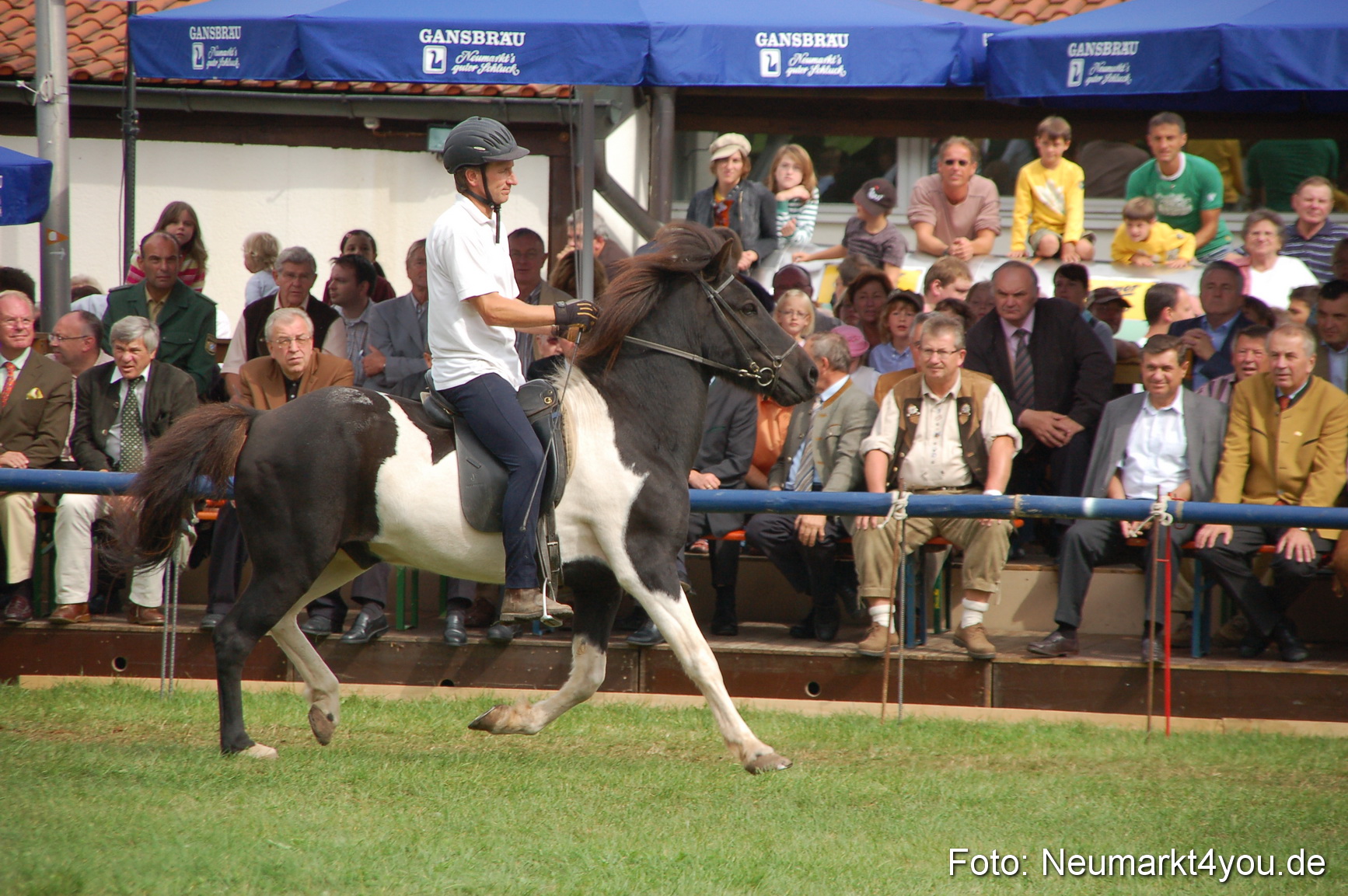 0464 Pferde Fohlenschau 200807