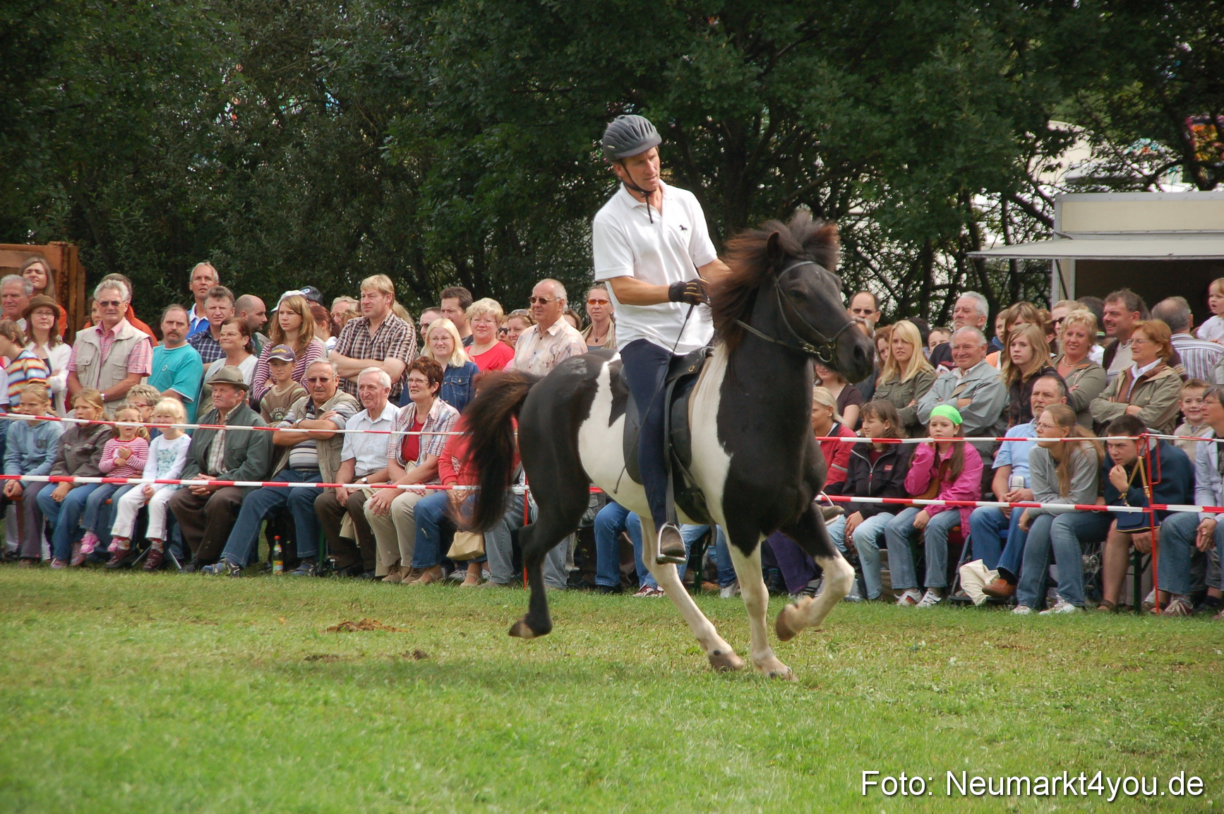 0465 Pferde Fohlenschau 200807