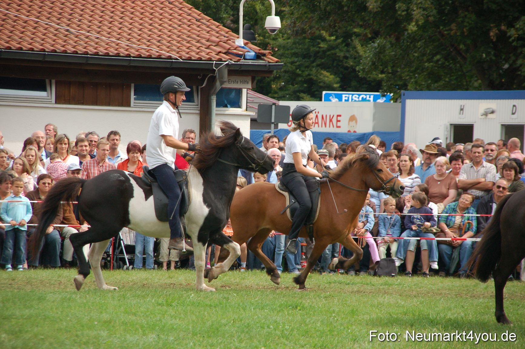 0467 Pferde Fohlenschau 200807