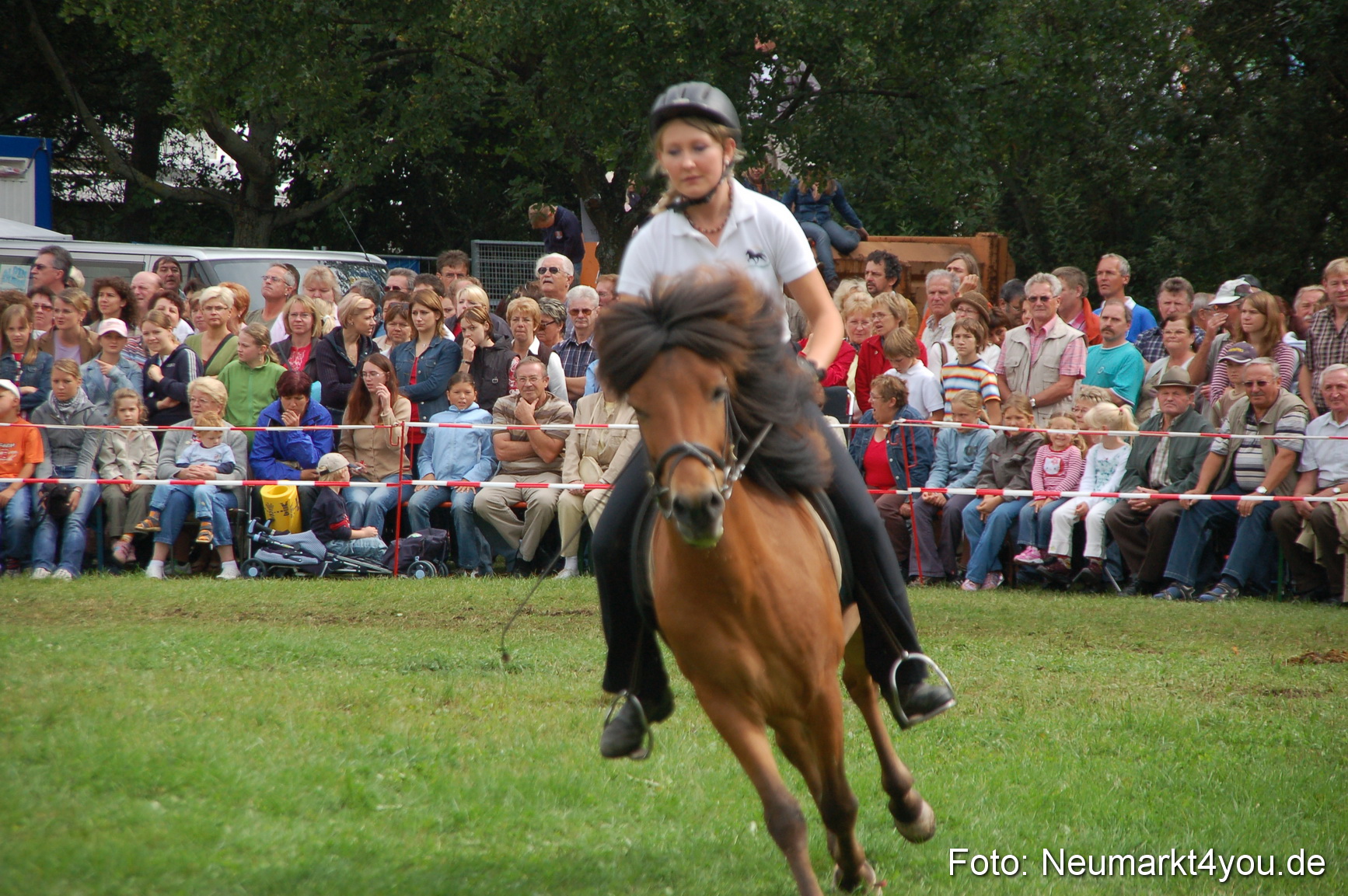 0468 Pferde Fohlenschau 200807