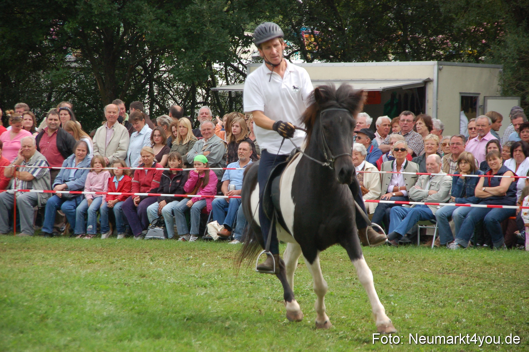 0469 Pferde Fohlenschau 200807