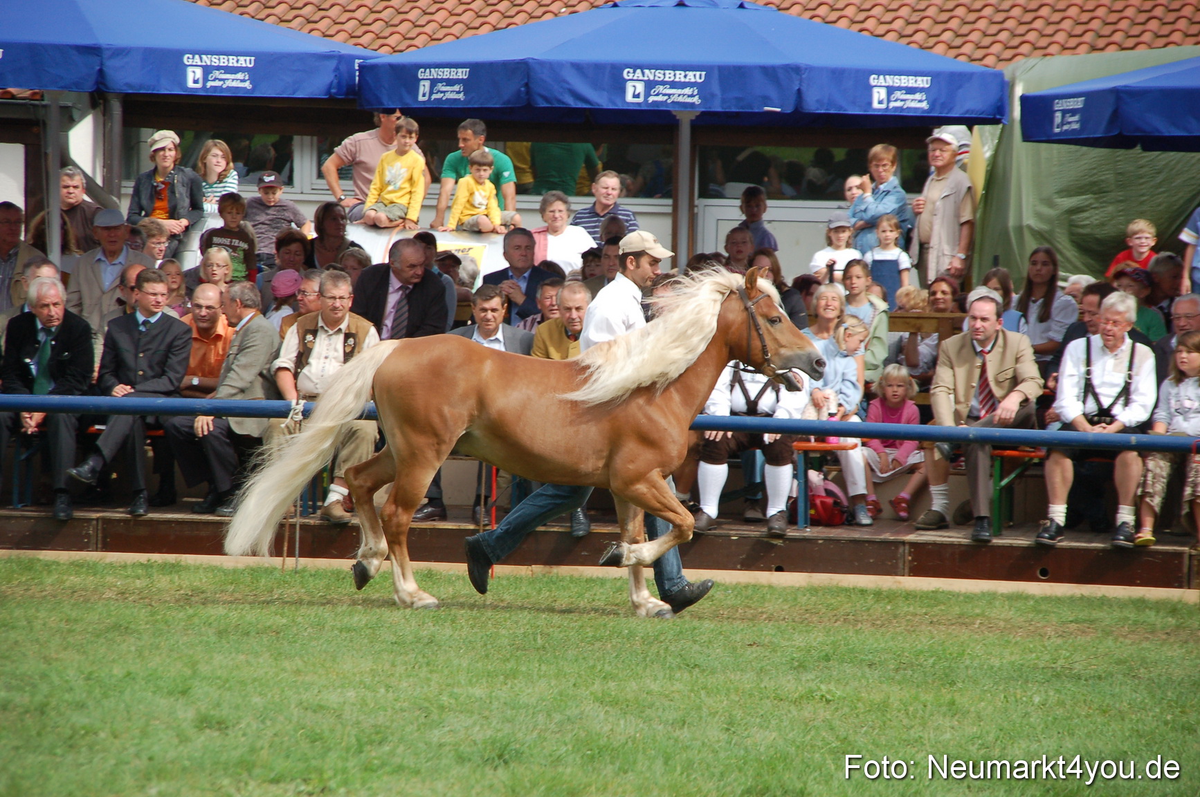0470 Pferde Fohlenschau 200807