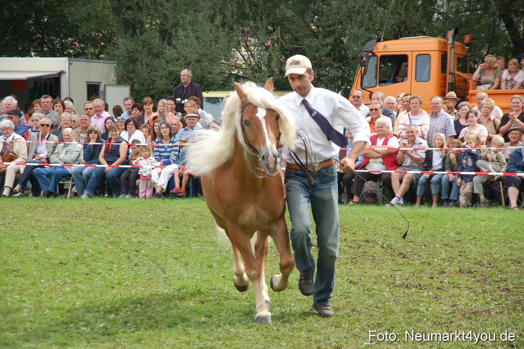 0471 Pferde Fohlenschau 200807