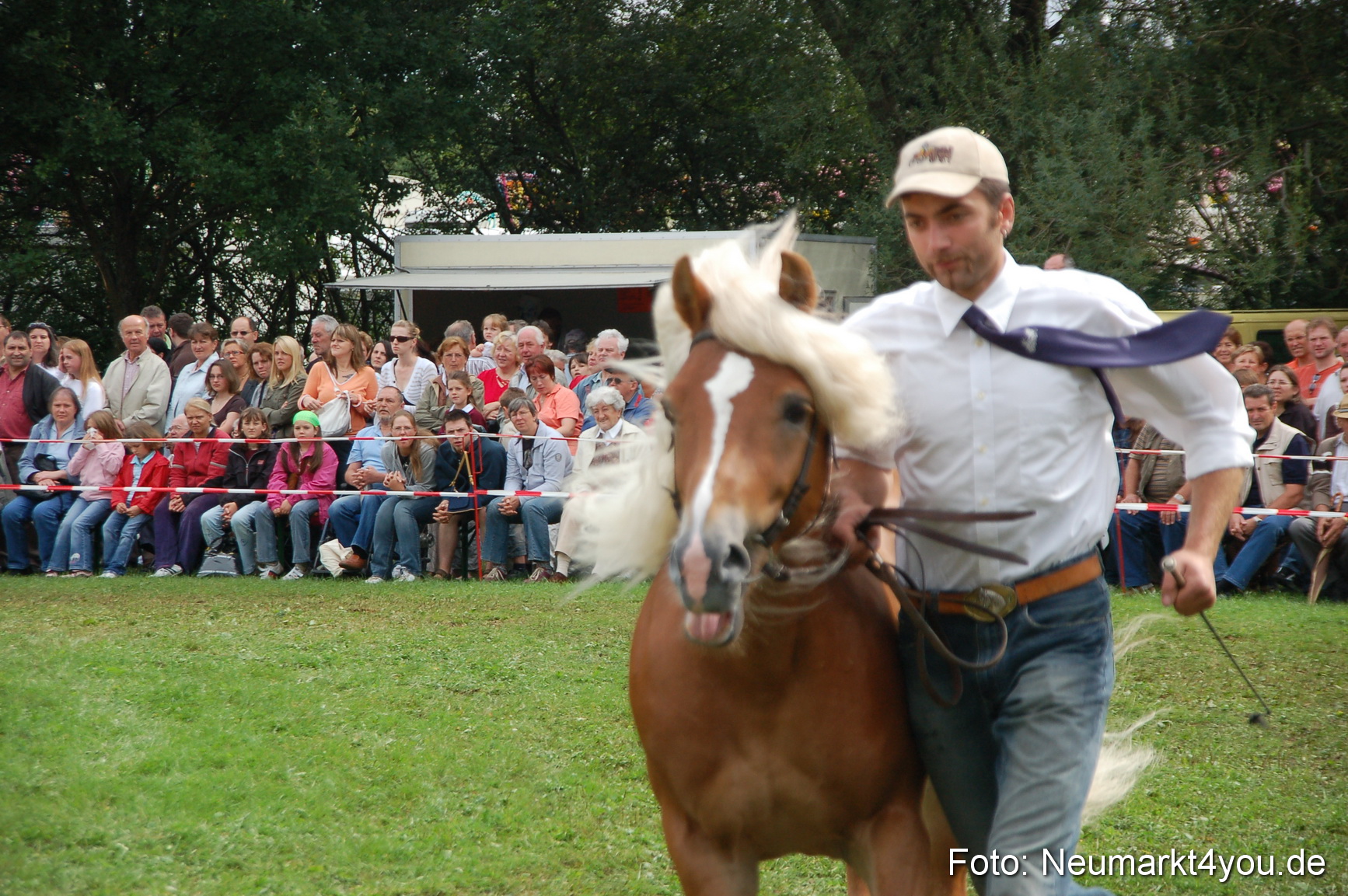 0472 Pferde Fohlenschau 200807