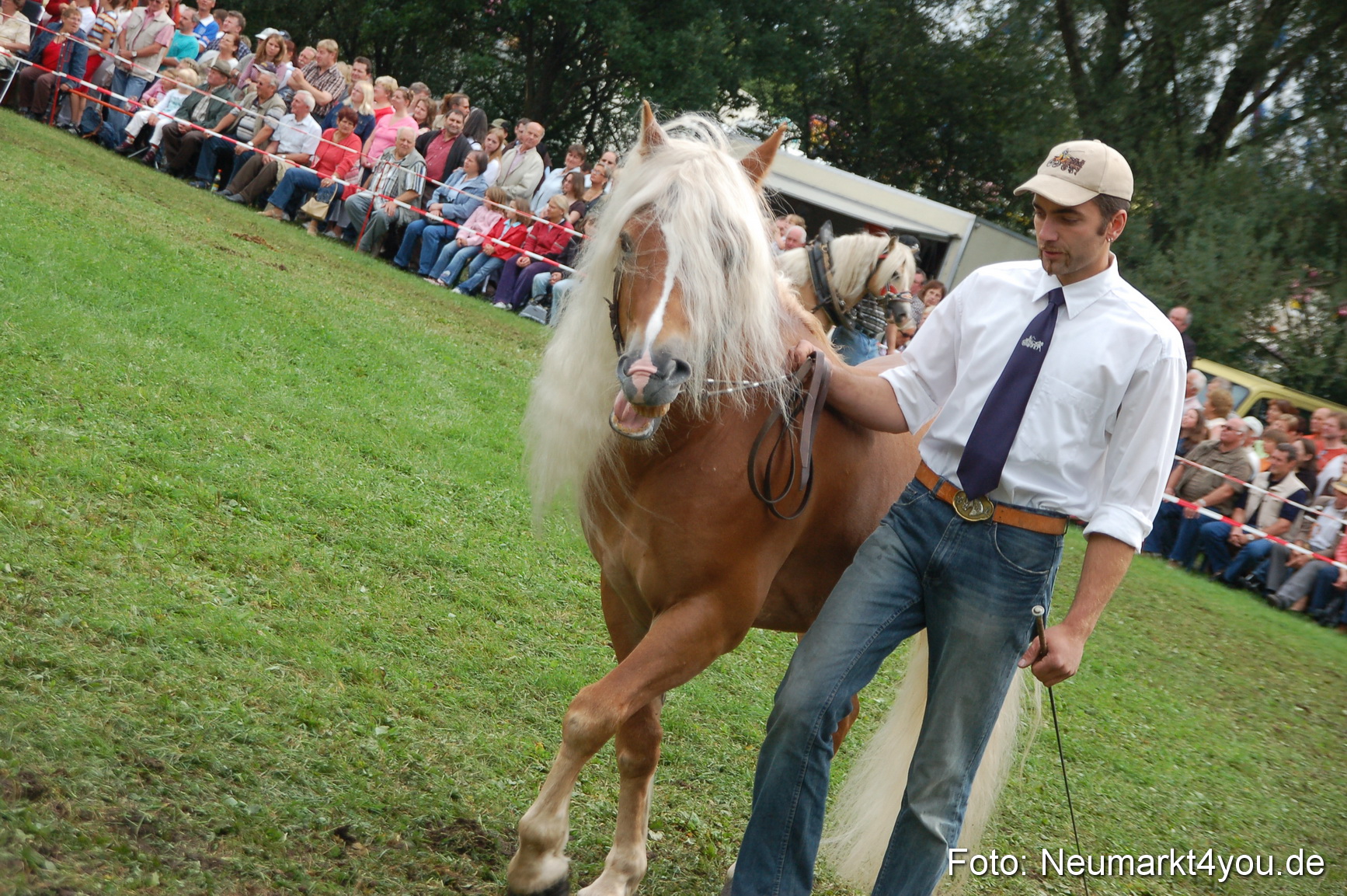 0473 Pferde Fohlenschau 200807