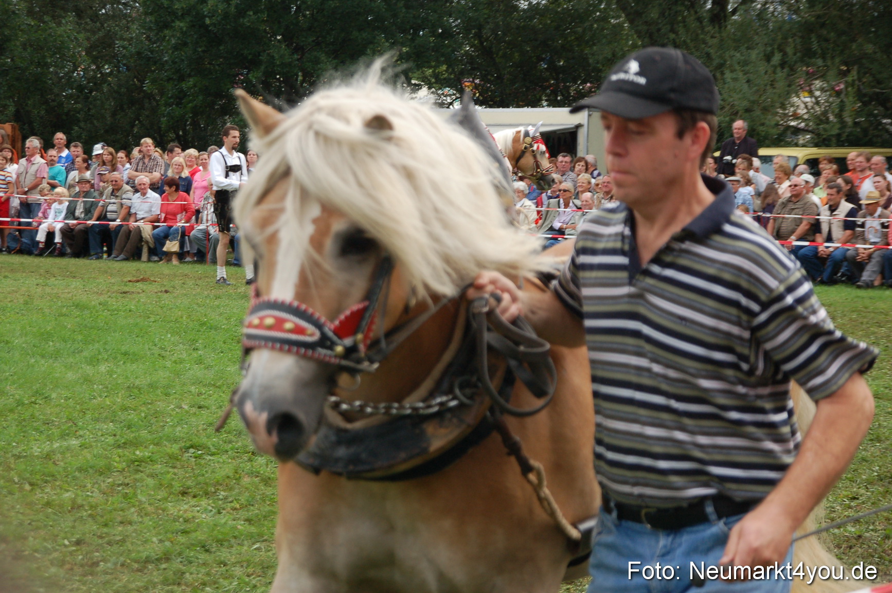 0474 Pferde Fohlenschau 200807