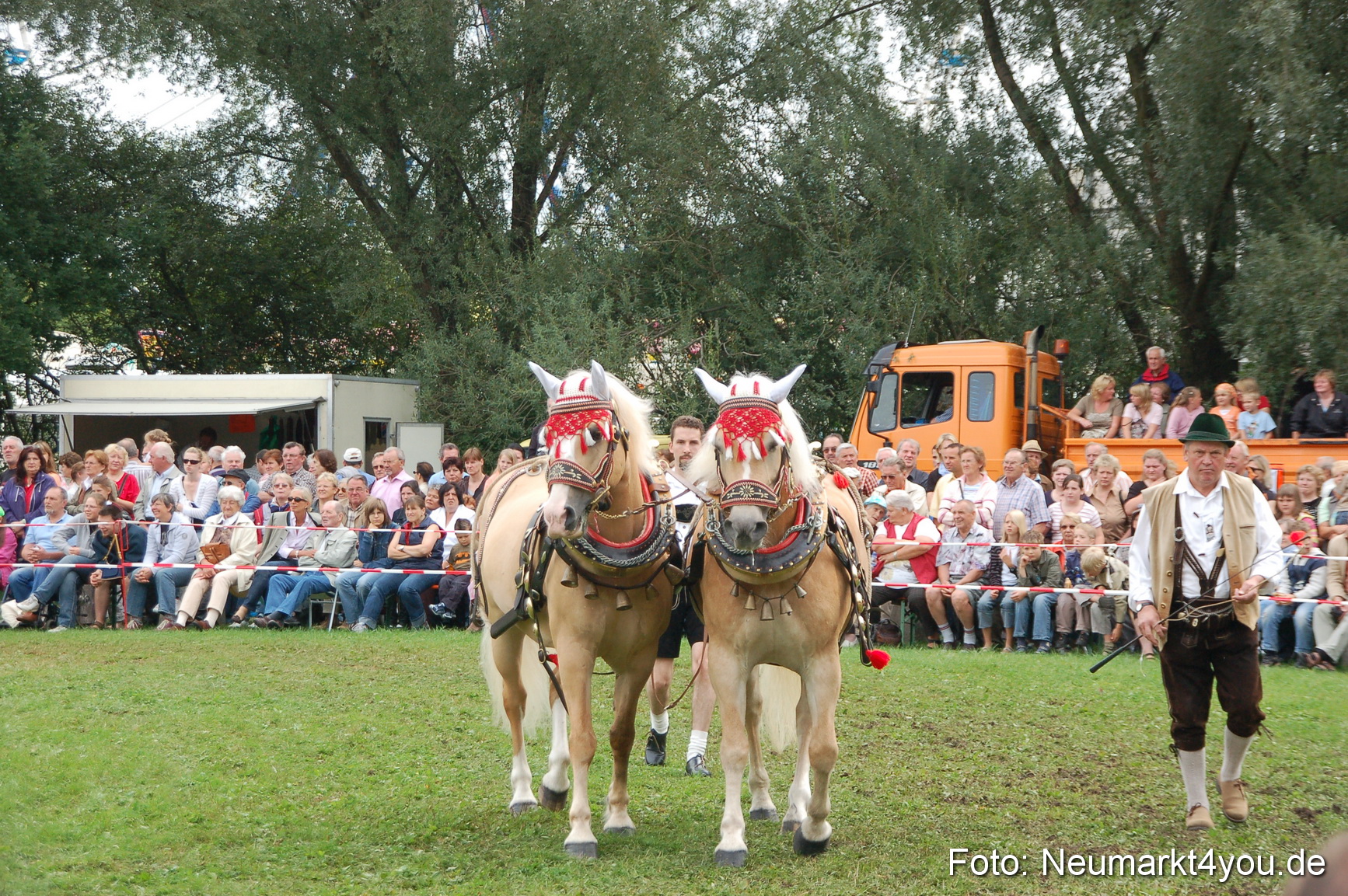 0475 Pferde Fohlenschau 200807