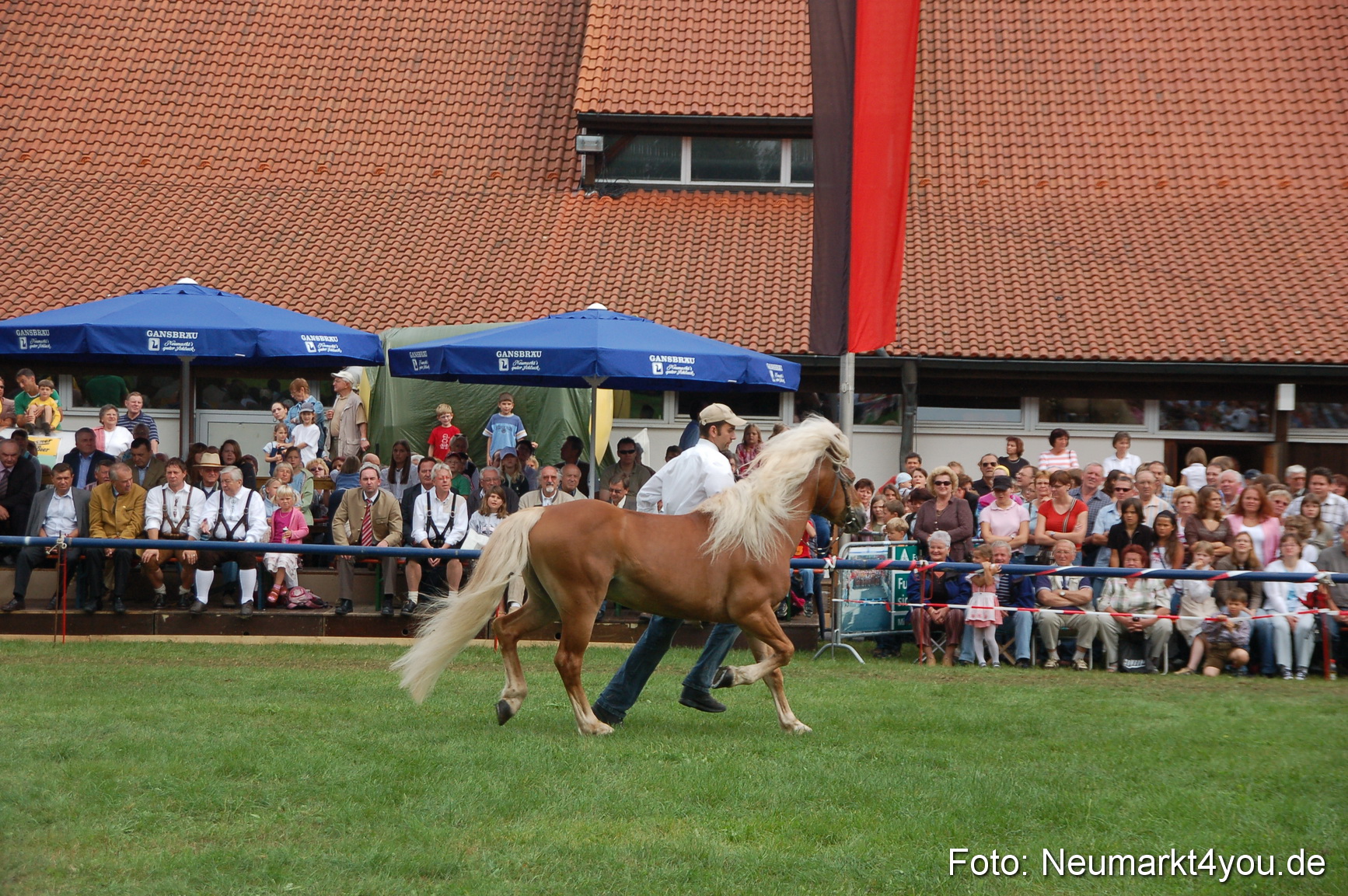 0476 Pferde Fohlenschau 200807