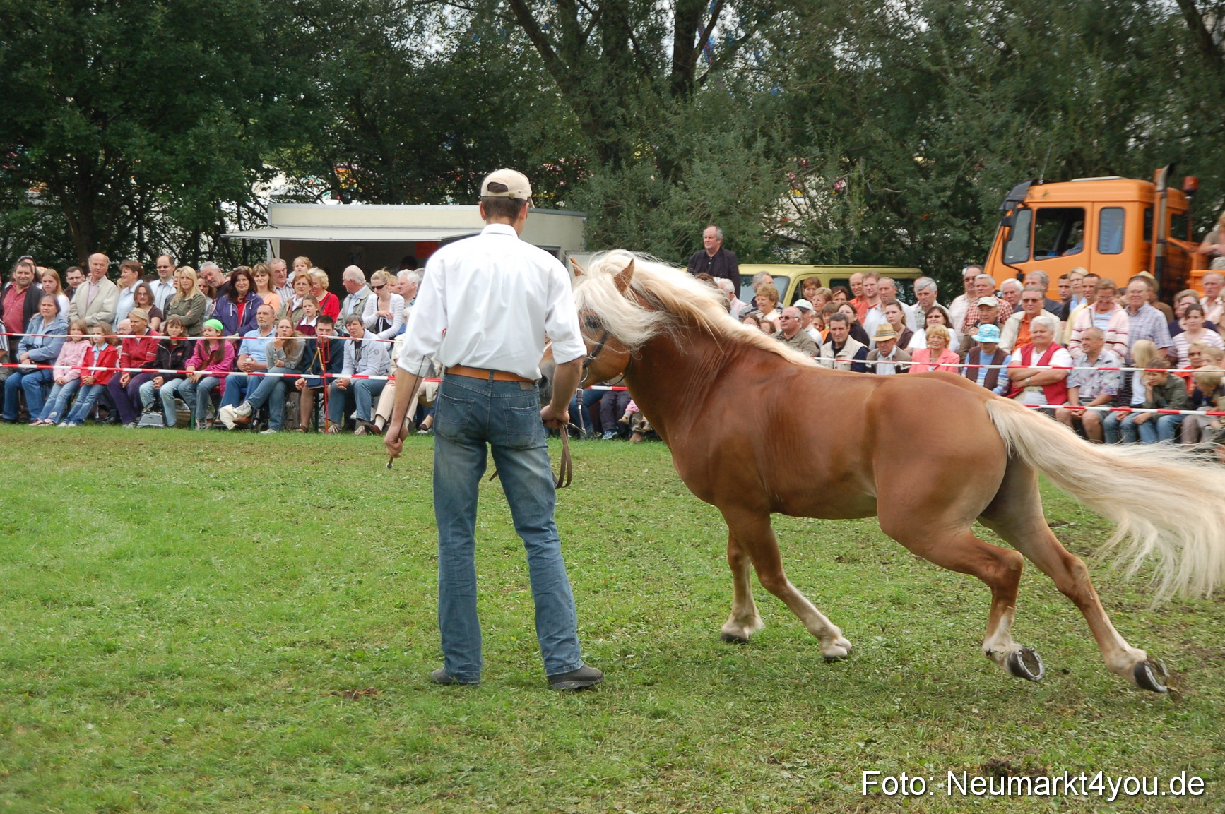 0477 Pferde Fohlenschau 200807