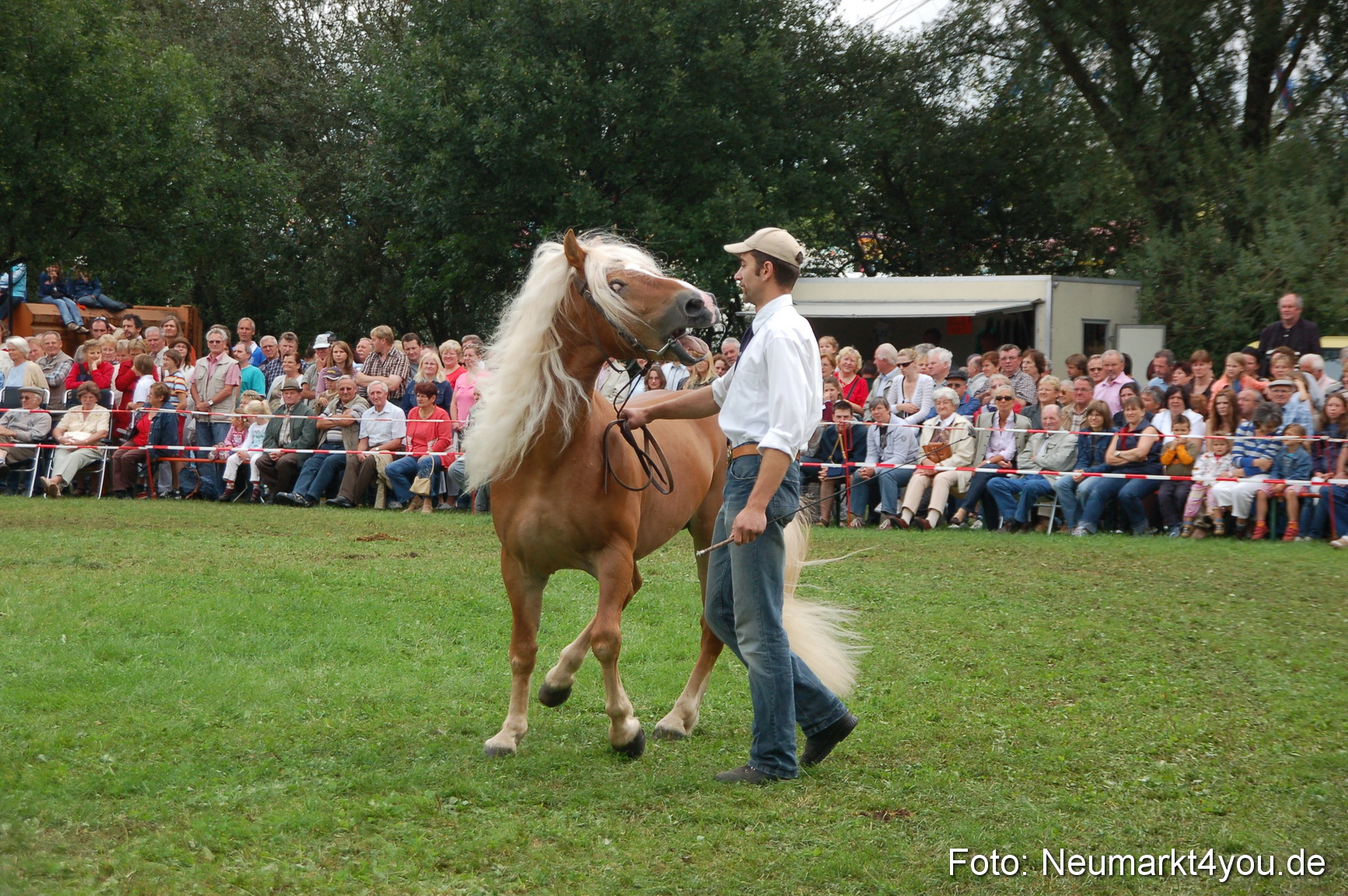 0478 Pferde Fohlenschau 200807