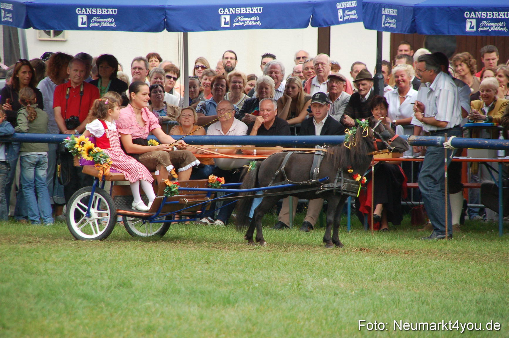 0480 Pferde Fohlenschau 200807