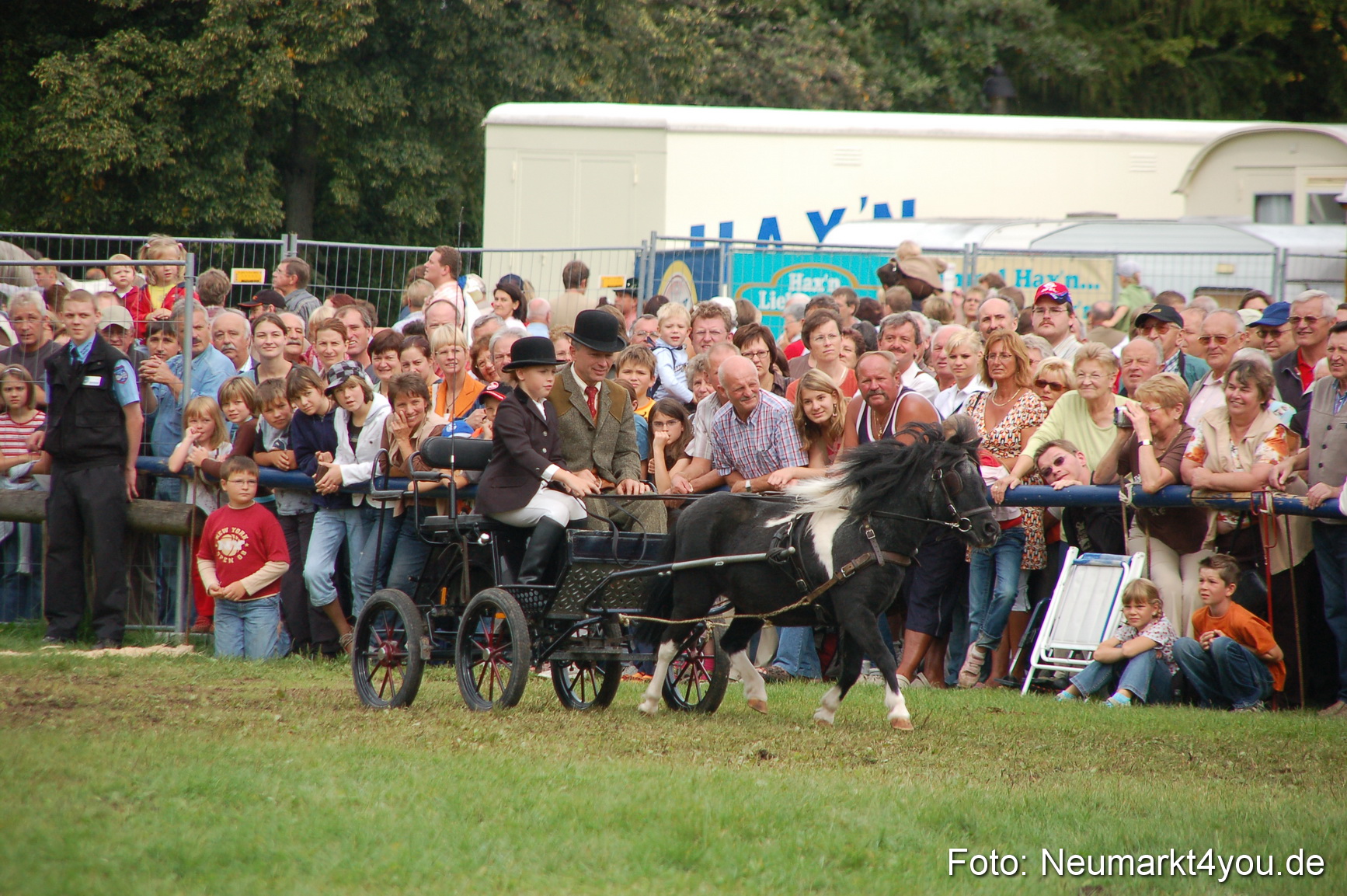 0481 Pferde Fohlenschau 200807