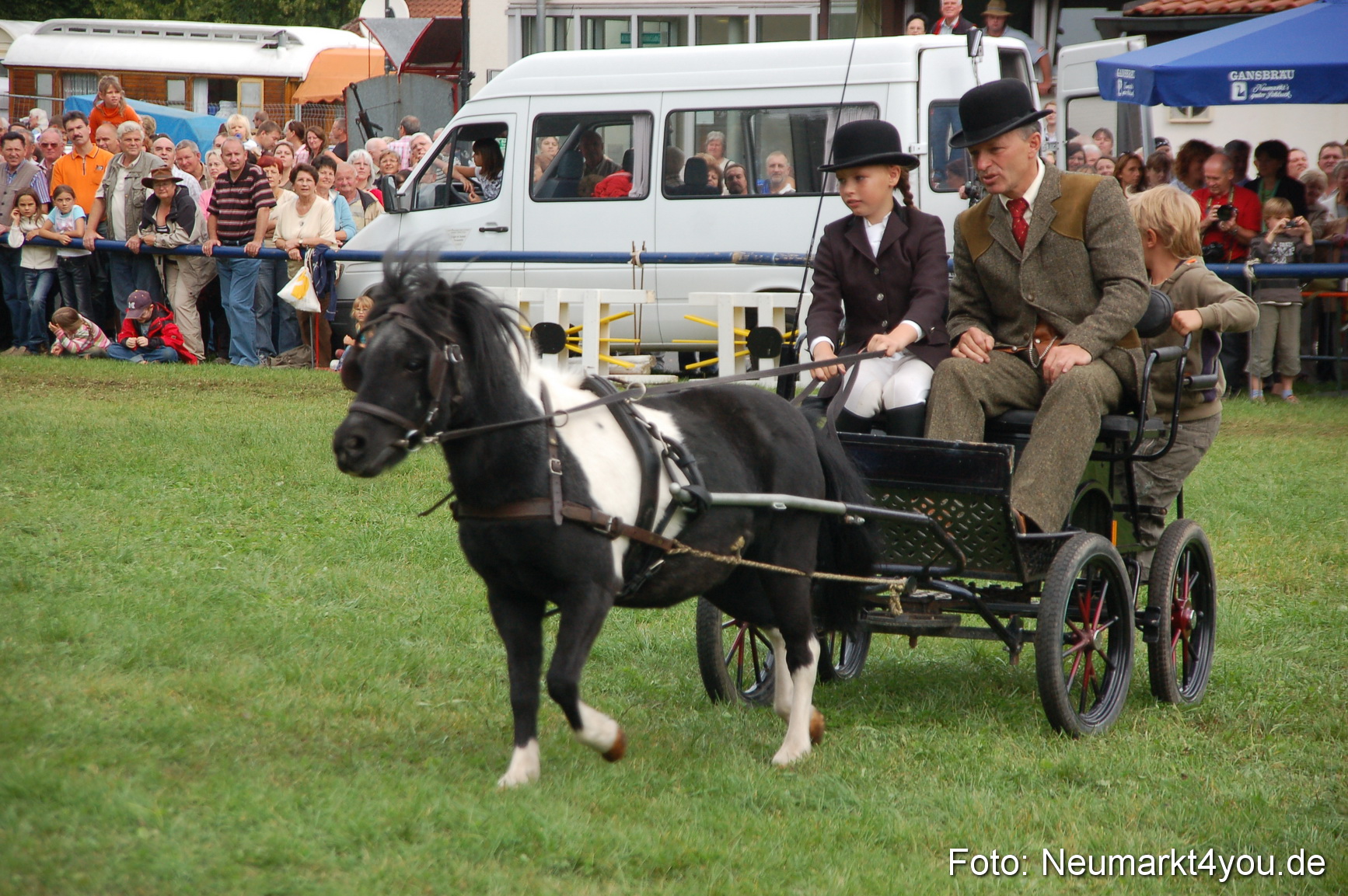 0484 Pferde Fohlenschau 200807