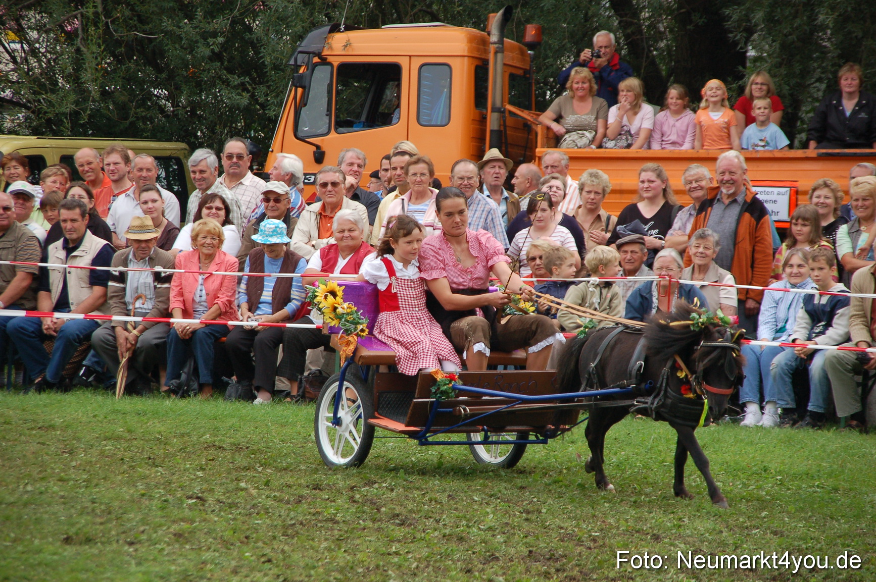 0487 Pferde Fohlenschau 200807