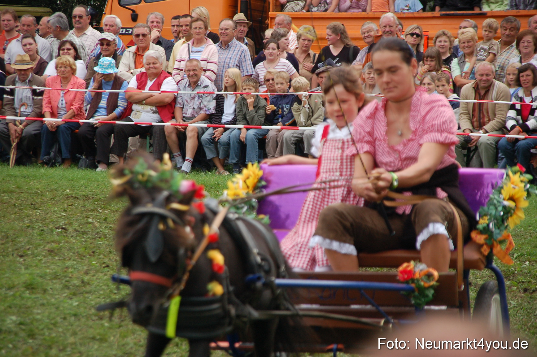 0488 Pferde Fohlenschau 200807