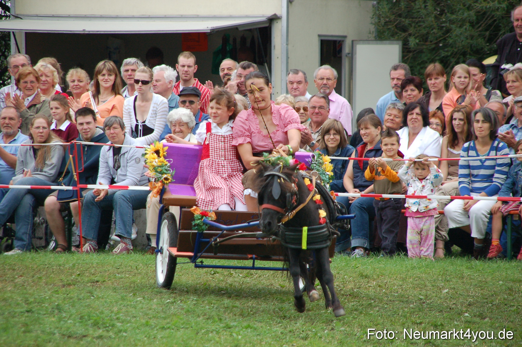 0489 Pferde Fohlenschau 200807