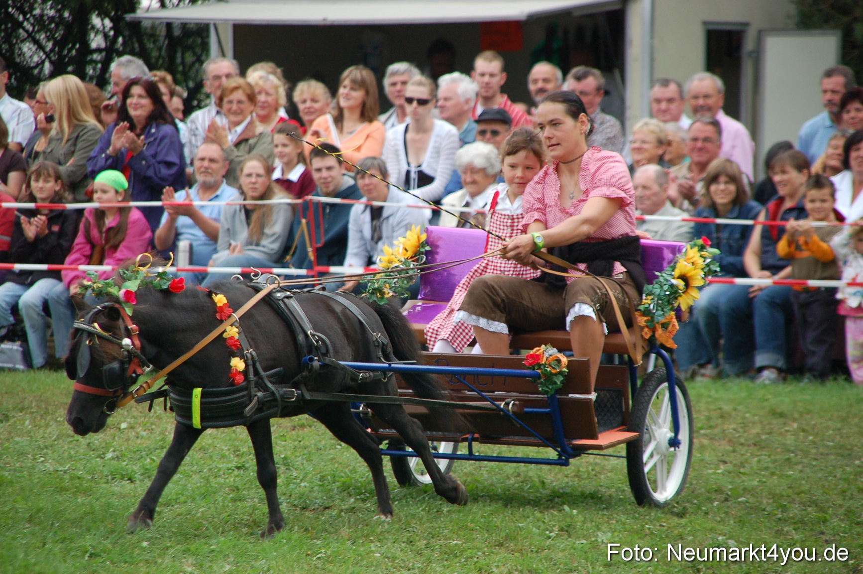 0490 Pferde Fohlenschau 200807