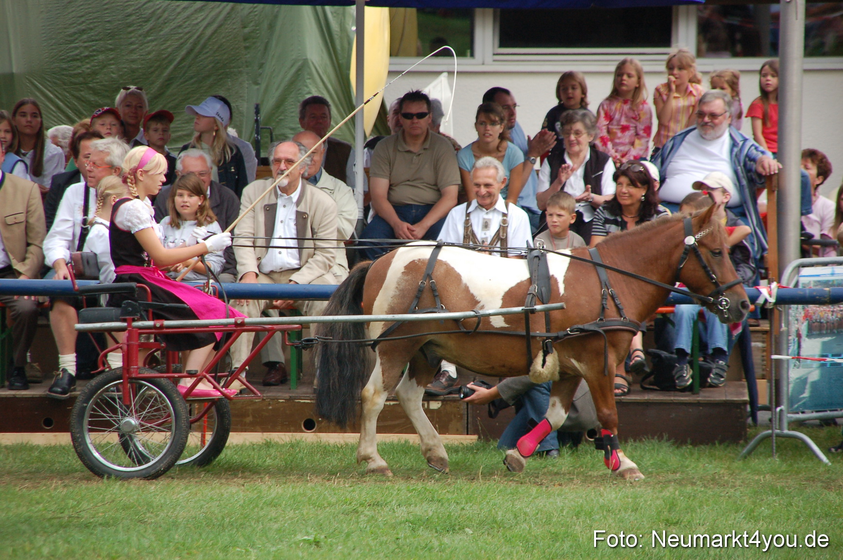 0492 Pferde Fohlenschau 200807