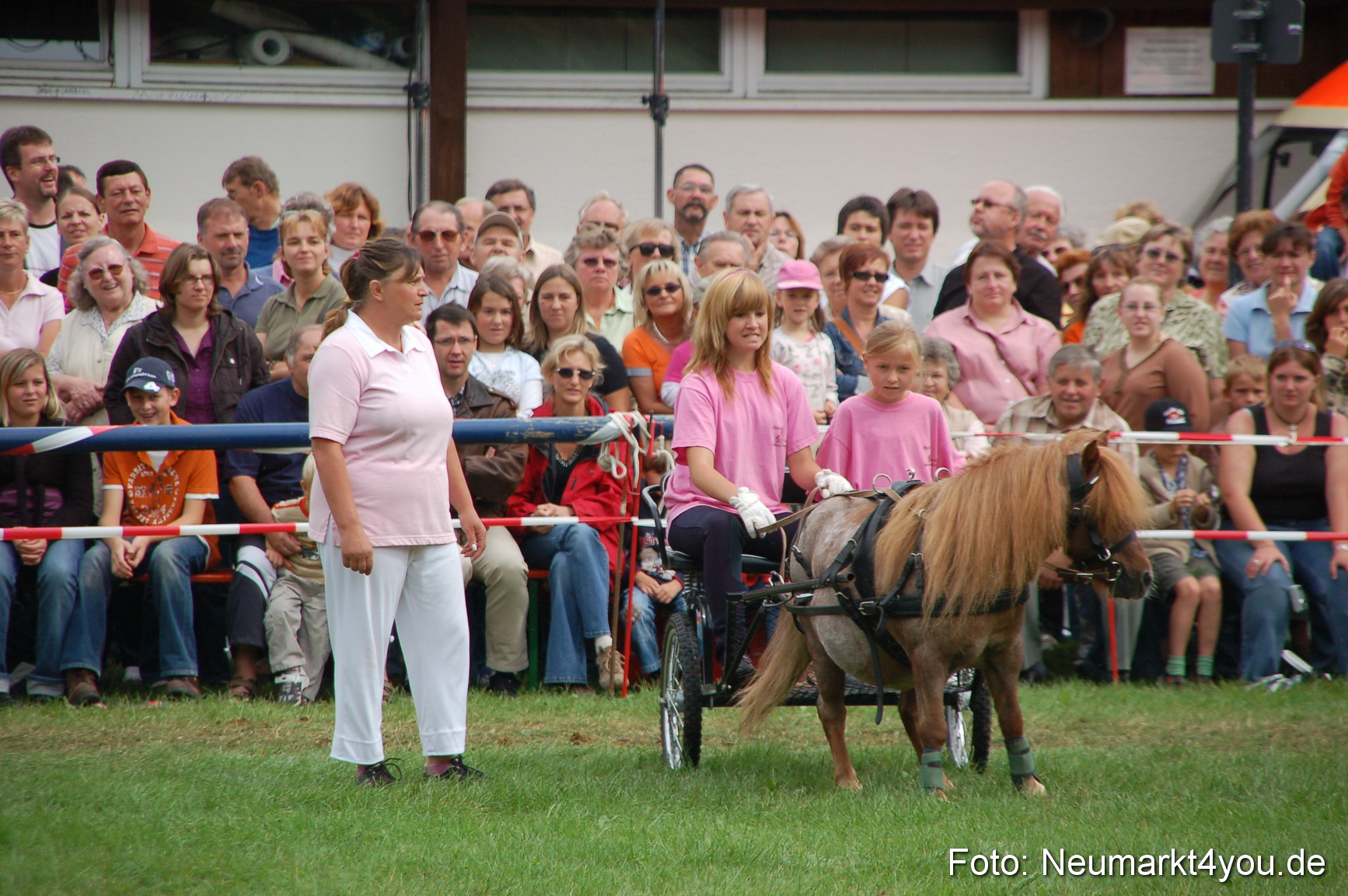 0493 Pferde Fohlenschau 200807
