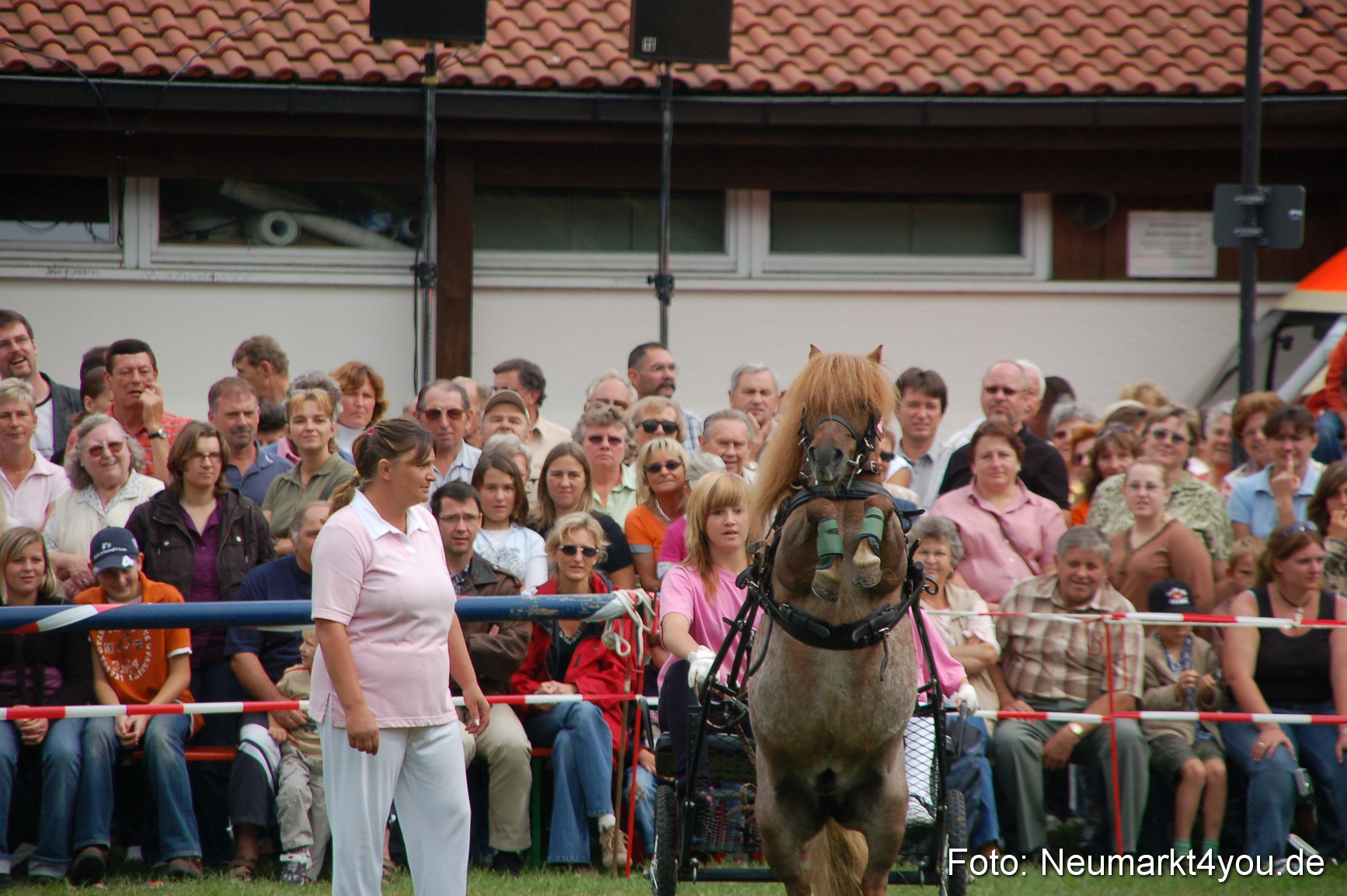 0494 Pferde Fohlenschau 200807