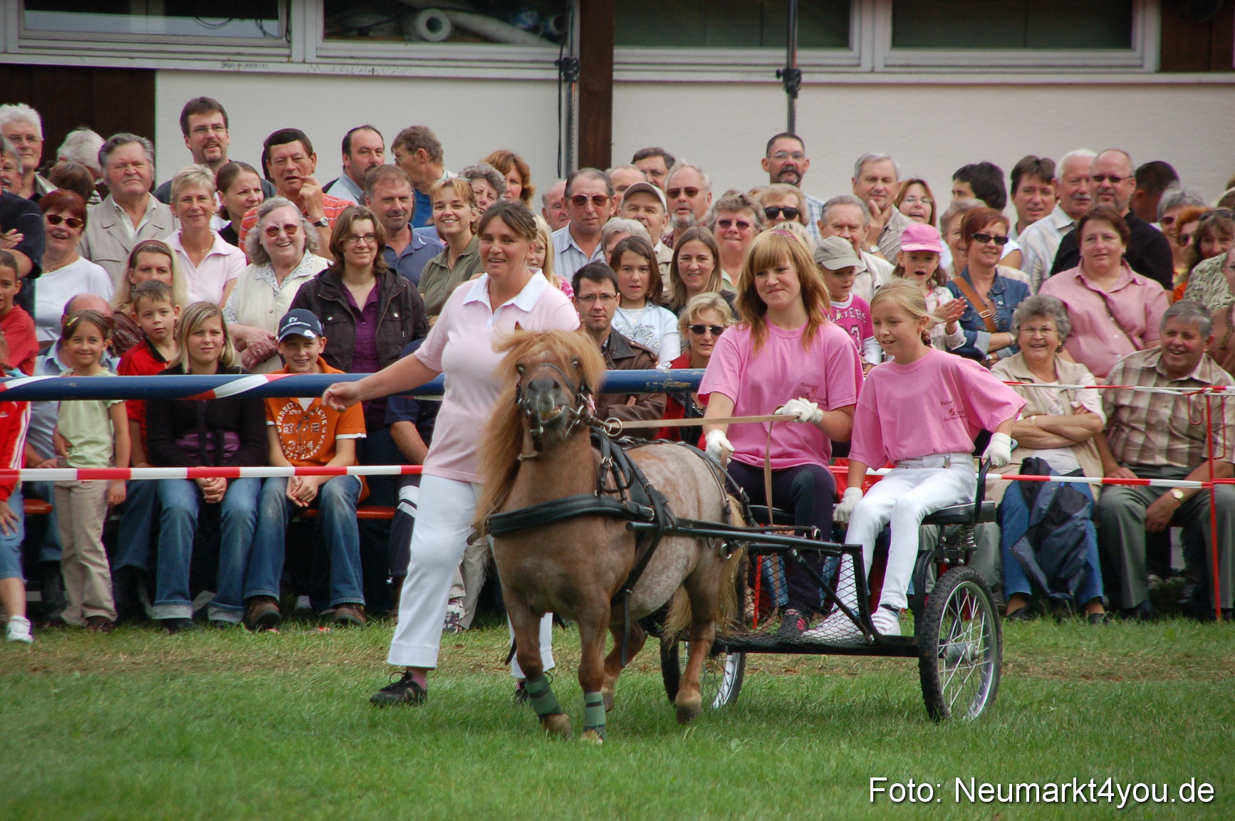 0495 Pferde Fohlenschau 200807