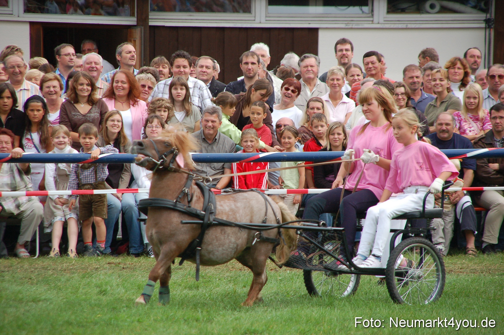 0496 Pferde Fohlenschau 200807