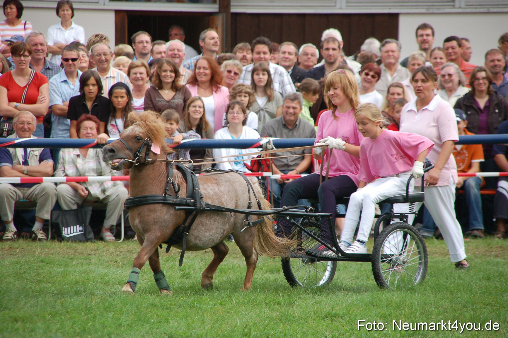 0497 Pferde Fohlenschau 200807