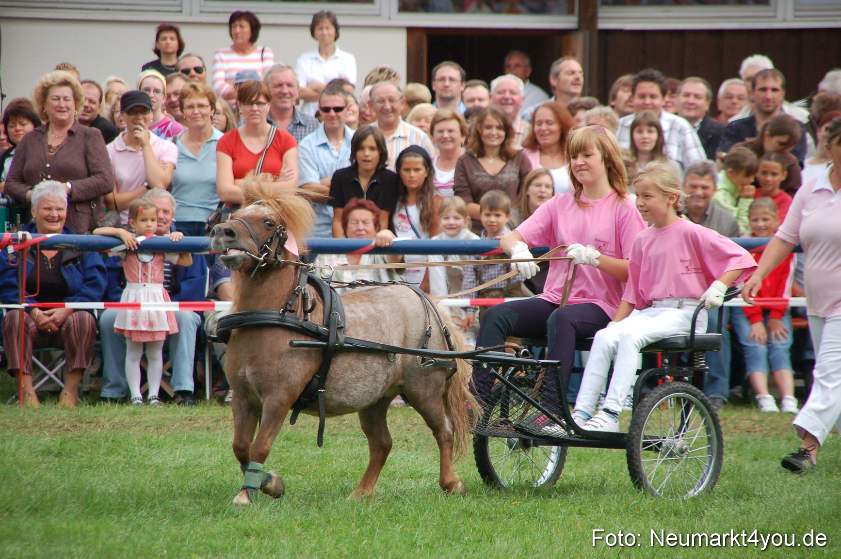 0498 Pferde Fohlenschau 200807