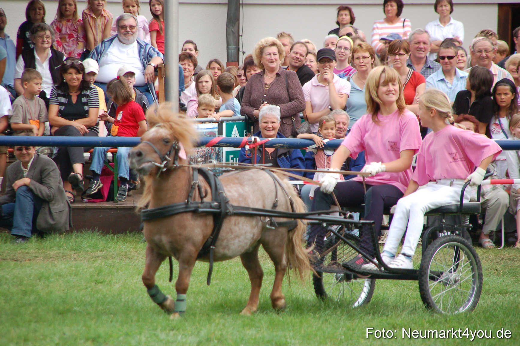 0499 Pferde Fohlenschau 200807