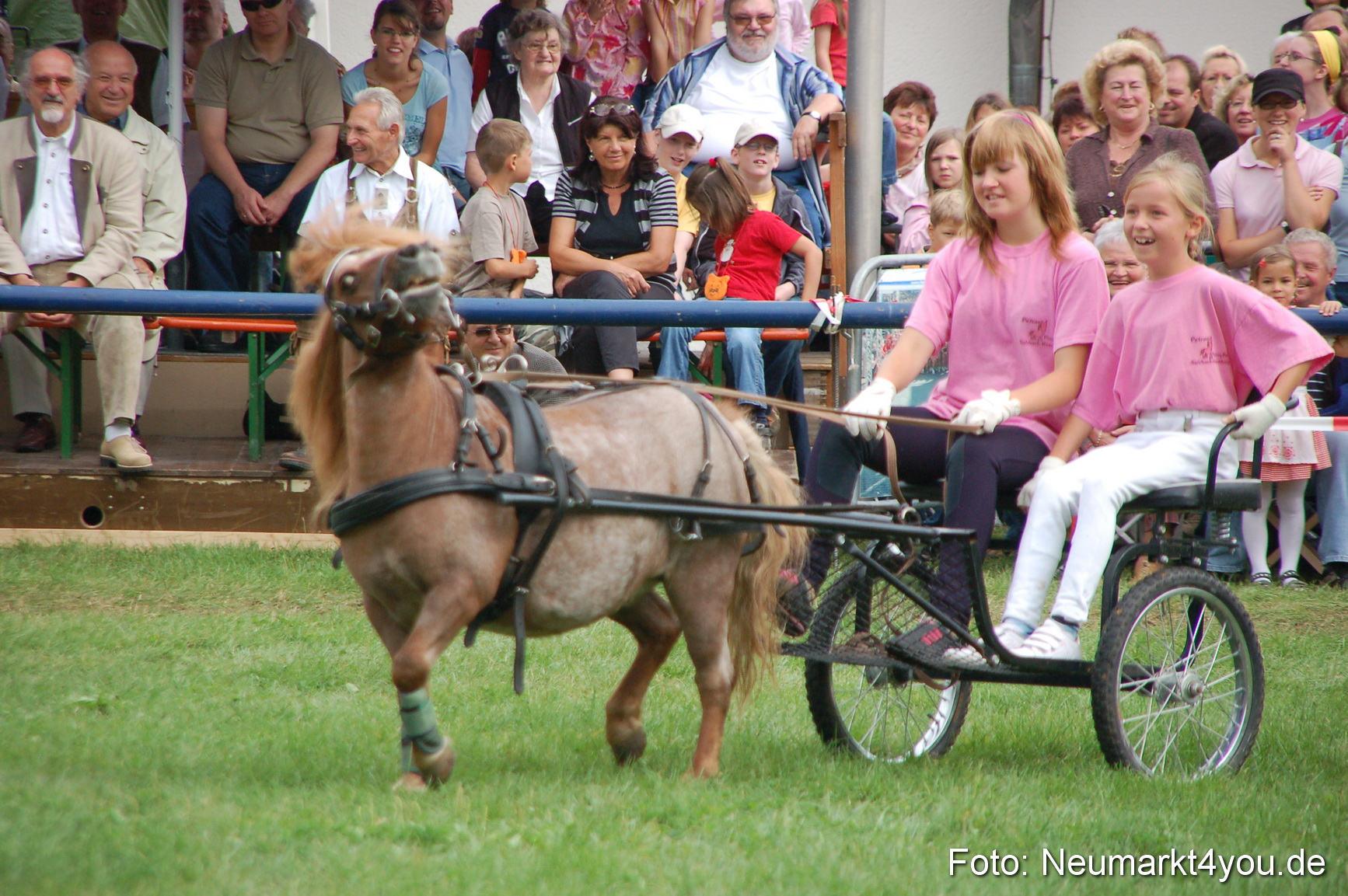0500 Pferde Fohlenschau 200807