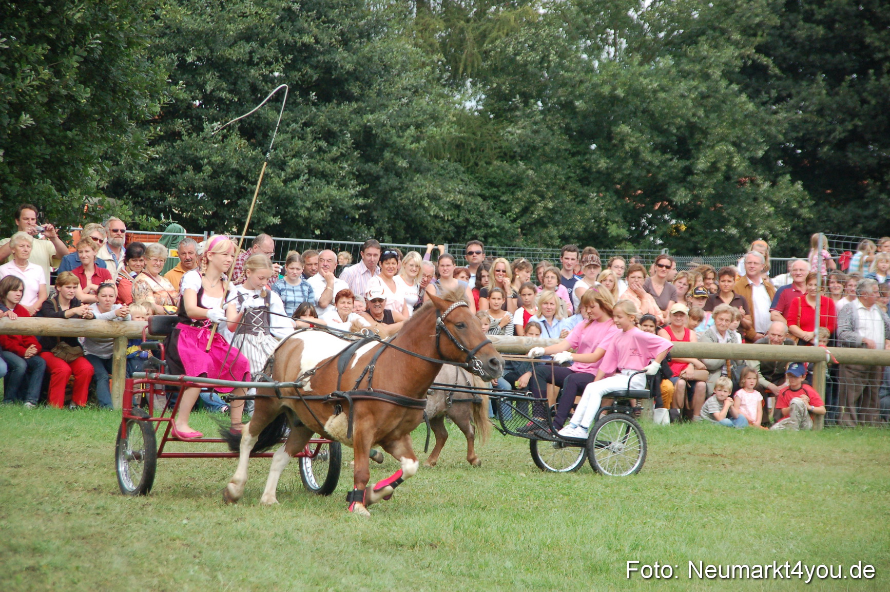 0501 Pferde Fohlenschau 200807