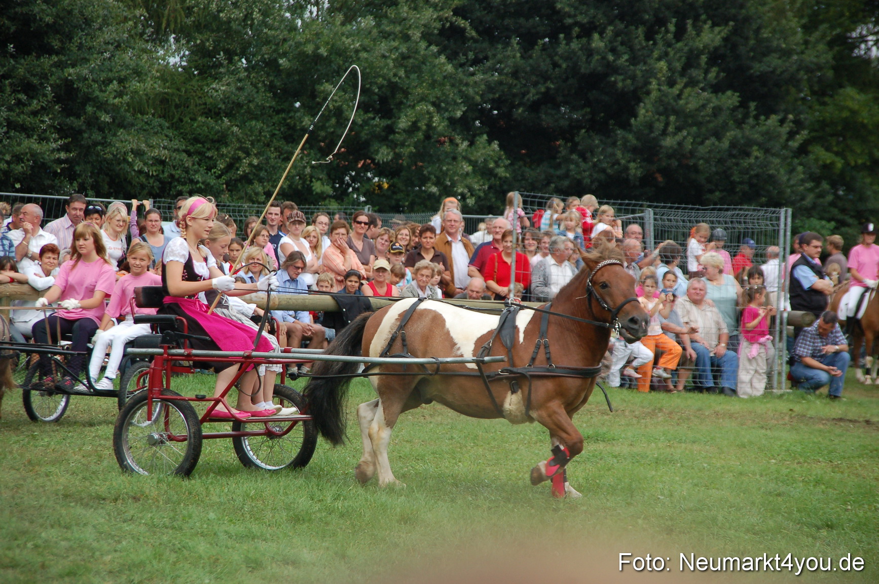0502 Pferde Fohlenschau 200807