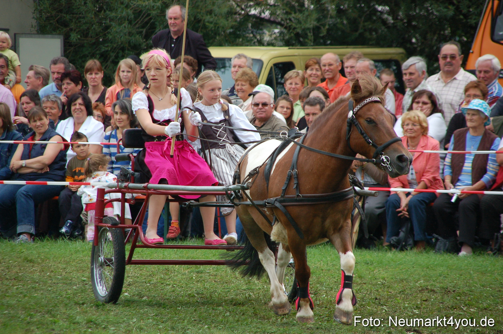 0503 Pferde Fohlenschau 200807