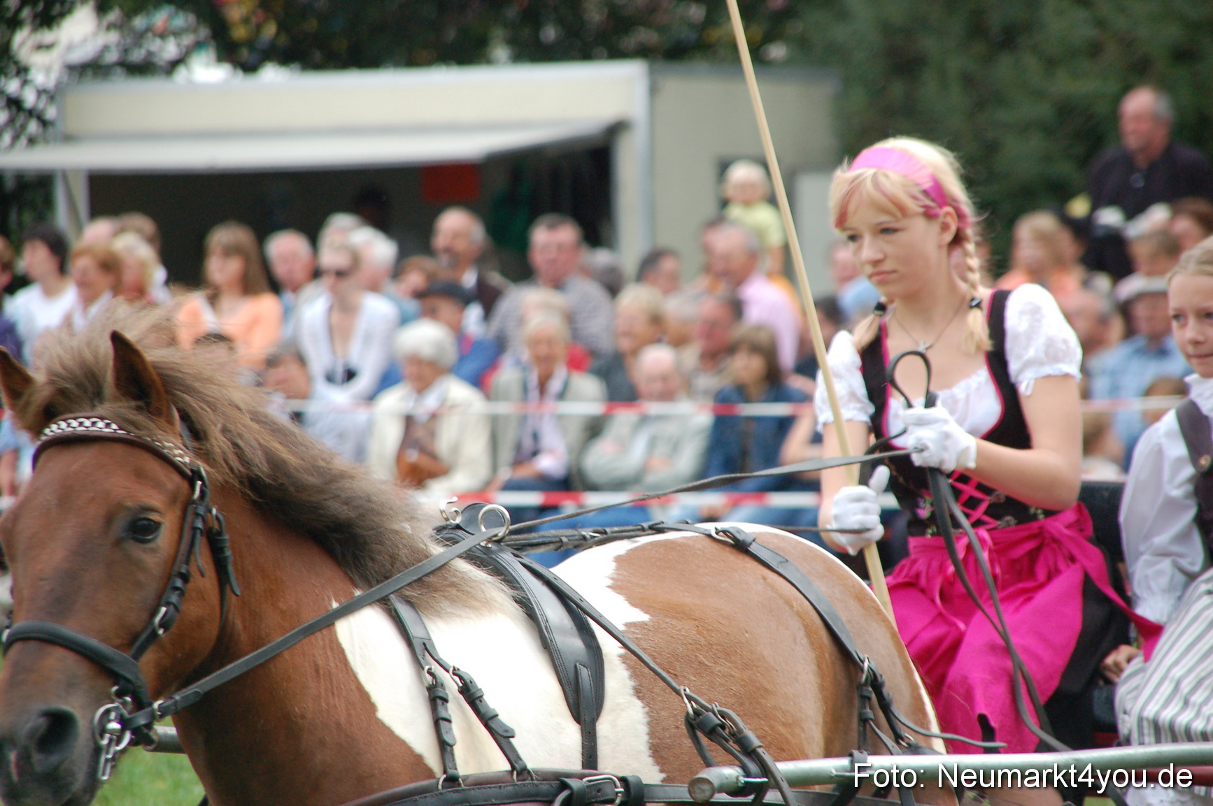 0504 Pferde Fohlenschau 200807