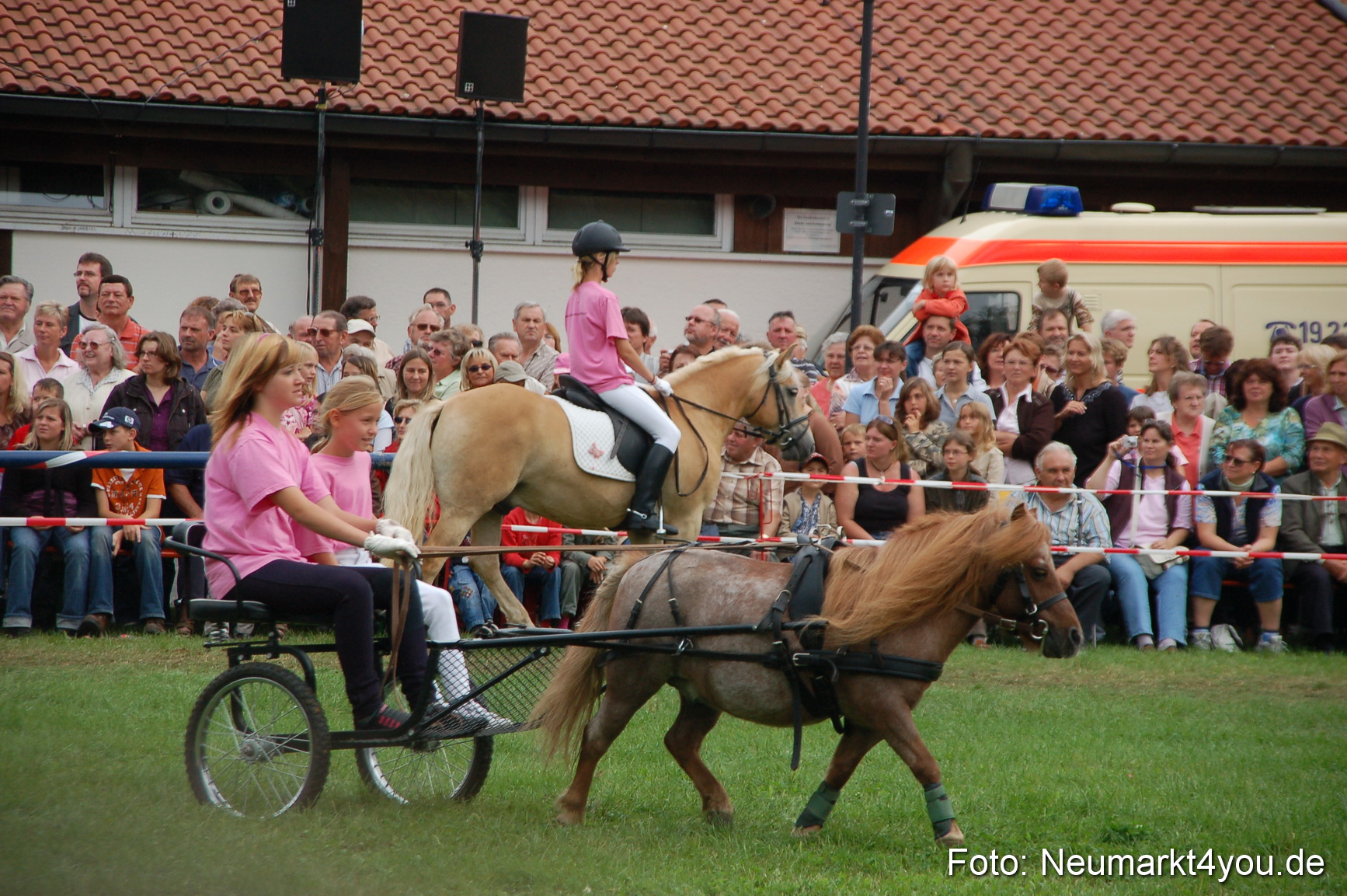 0507 Pferde Fohlenschau 200807