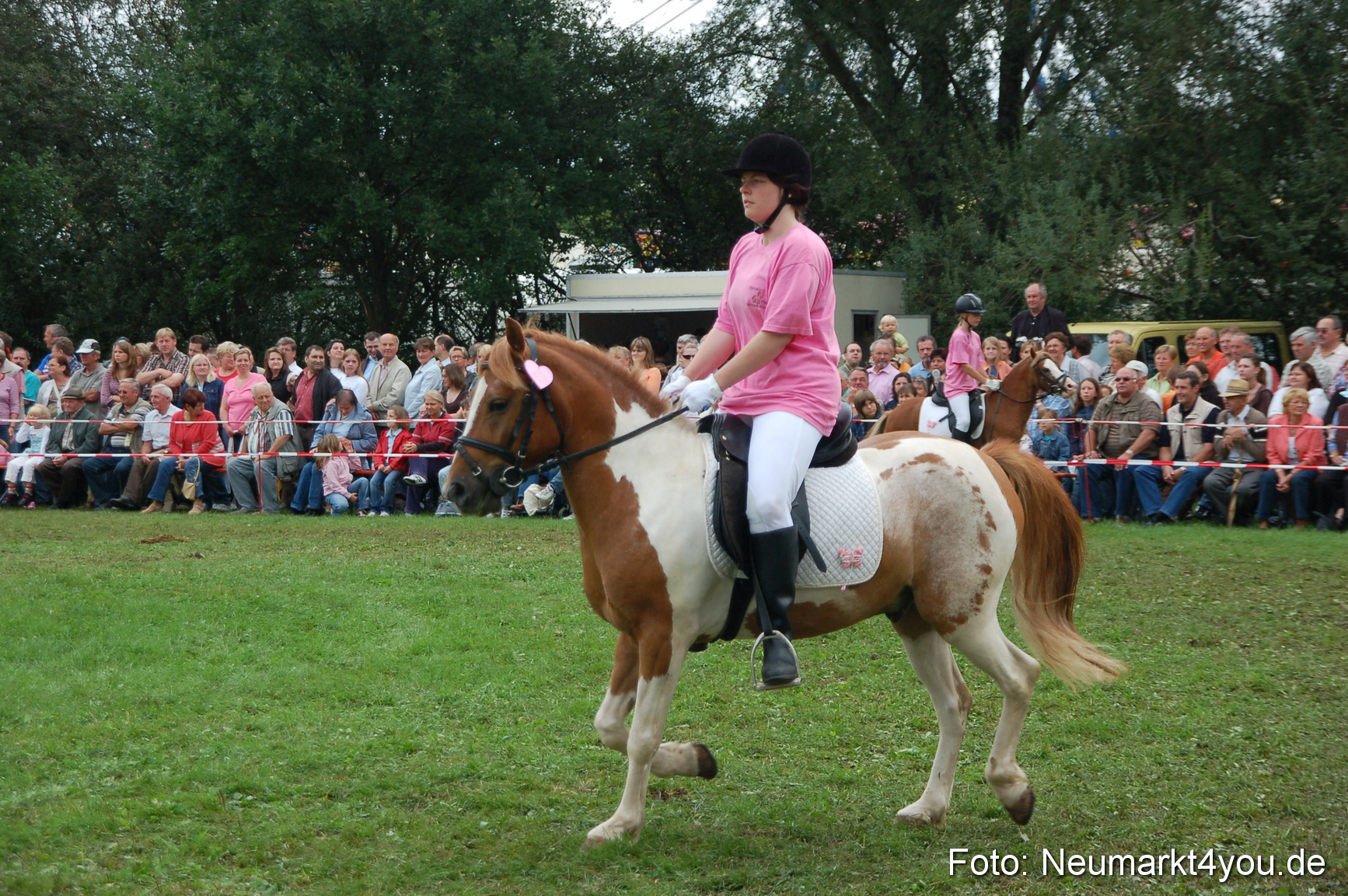 0509 Pferde Fohlenschau 200807