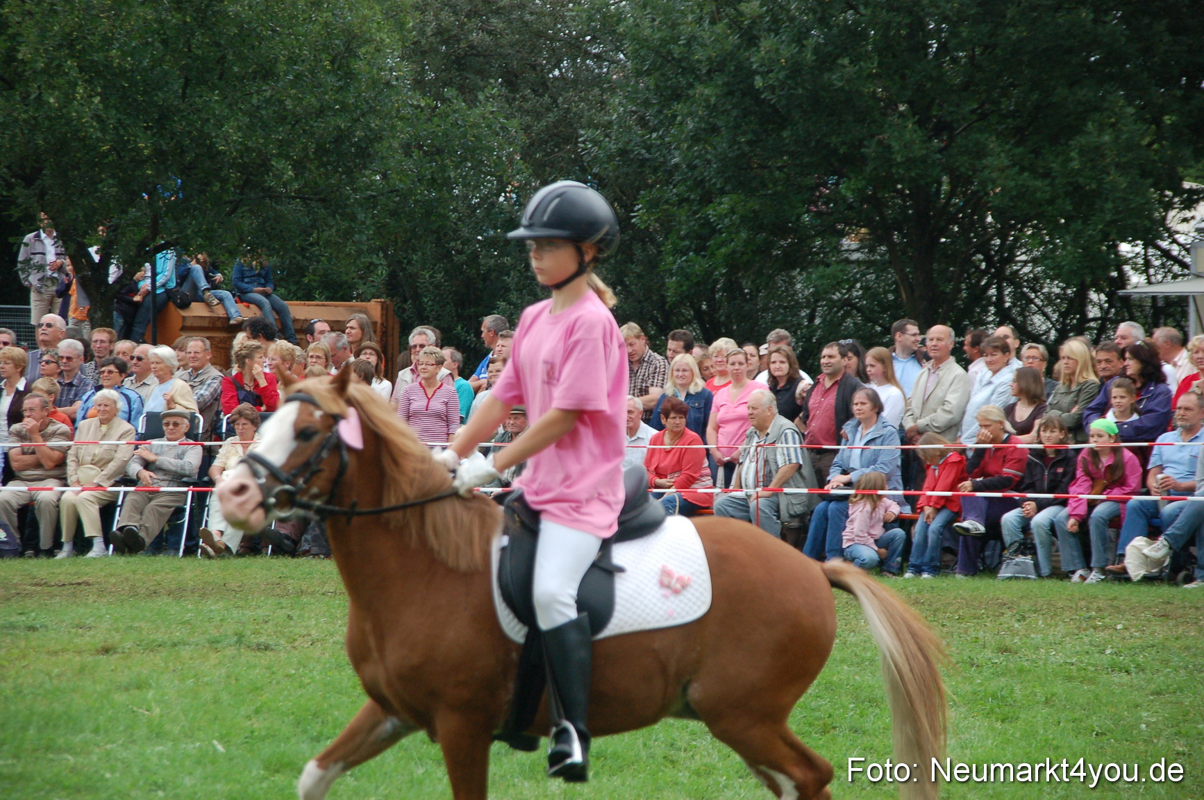 0510 Pferde Fohlenschau 200807