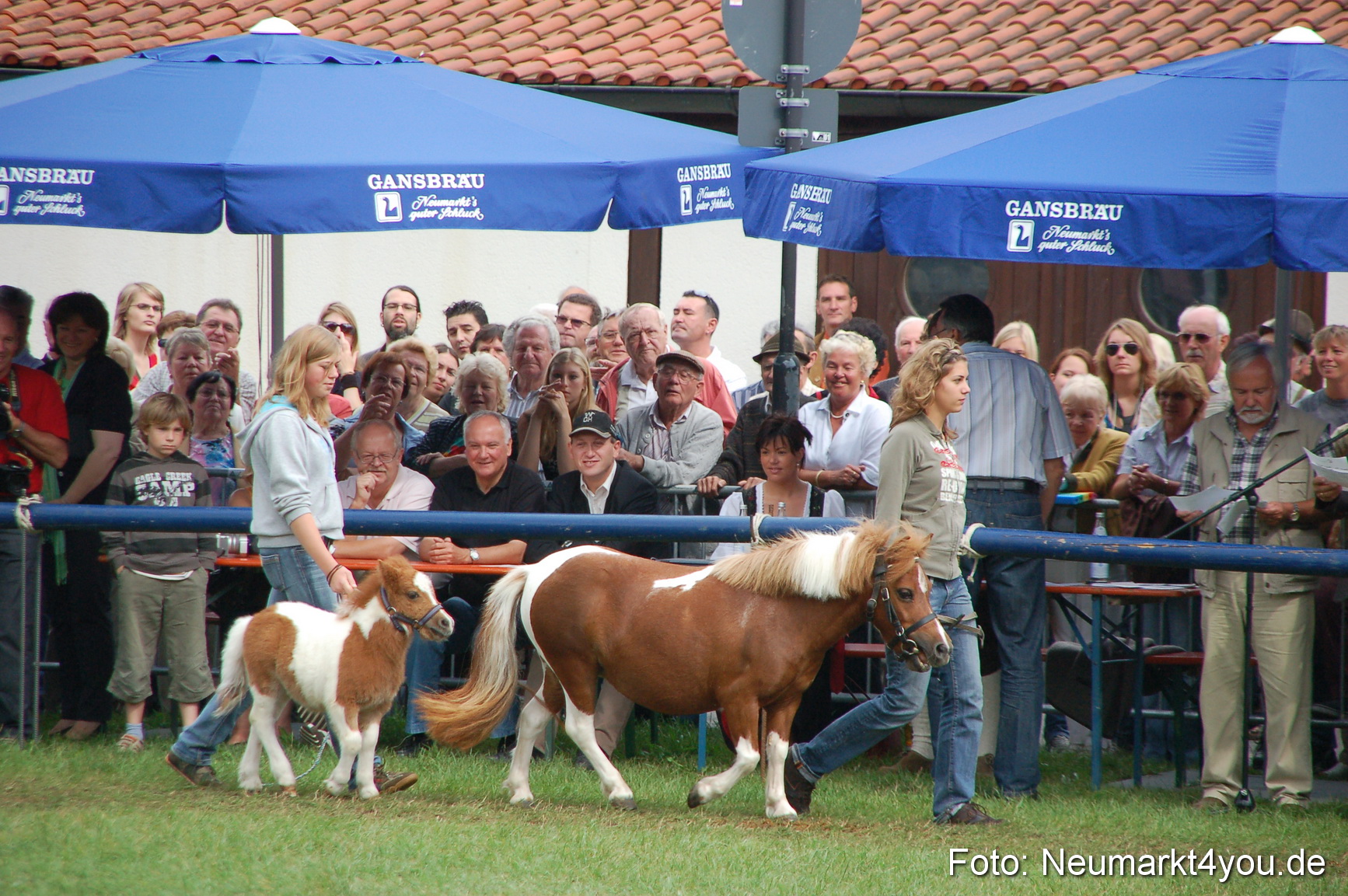 0513 Pferde Fohlenschau 200807